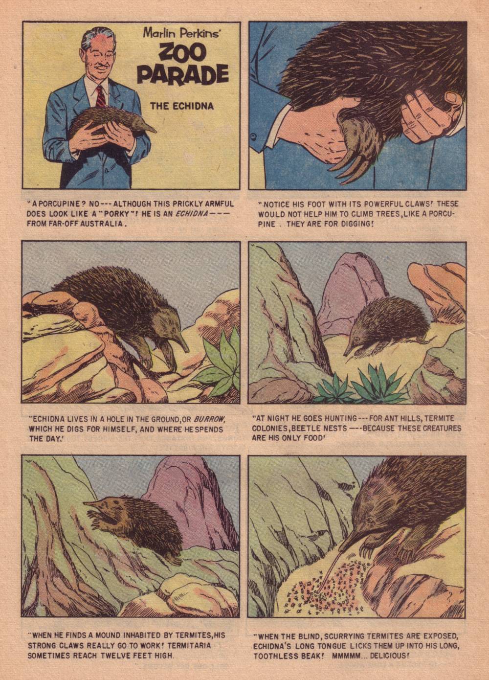 Read online Four Color Comics comic -  Issue #662 - 18