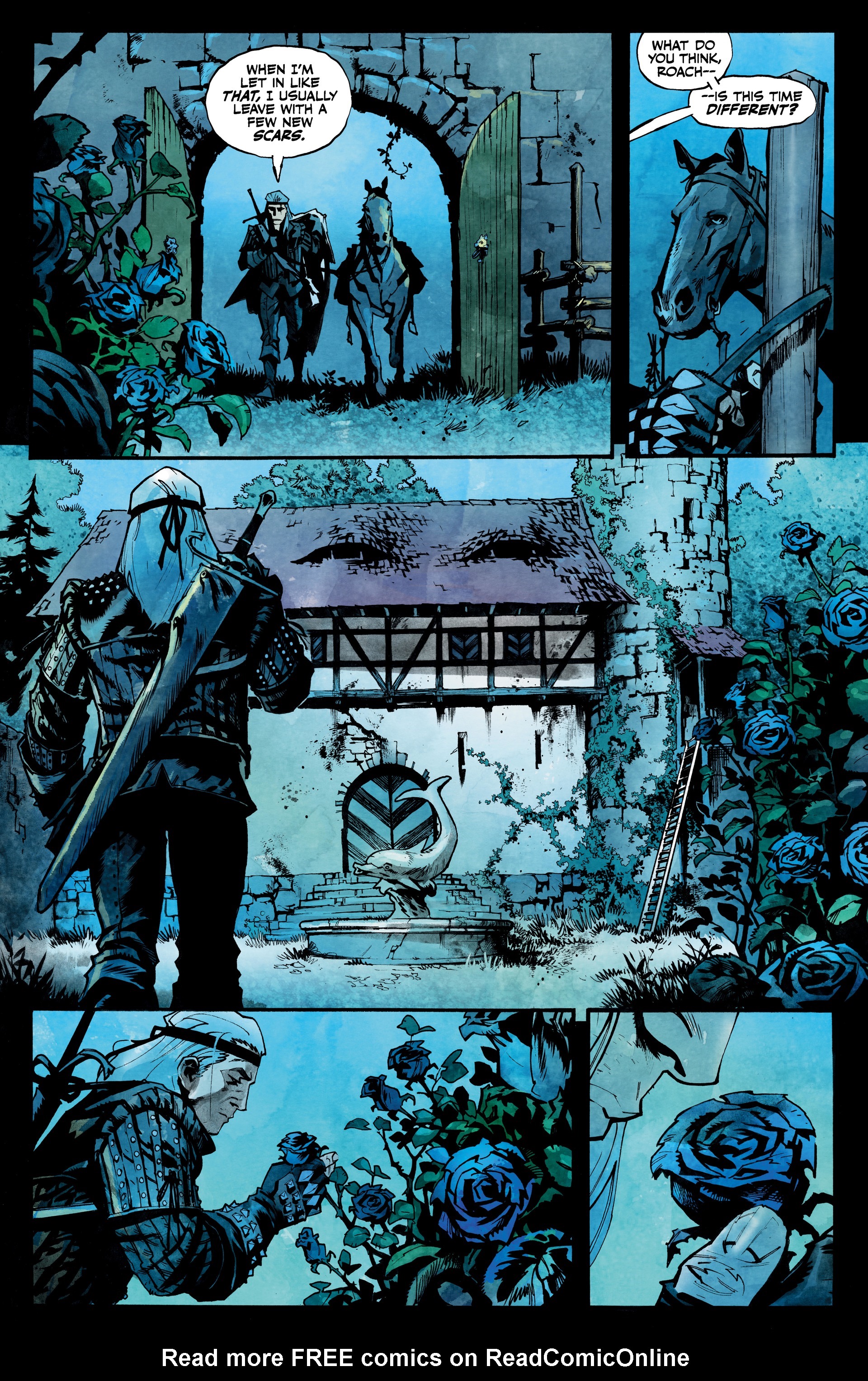 Read online The Witcher: A Grain of Truth comic -  Issue # Full - 14