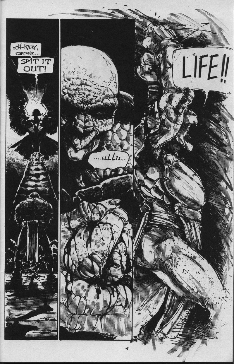 Teenage Mutant Ninja Turtles (1984) Issue #36 #36 - English 24