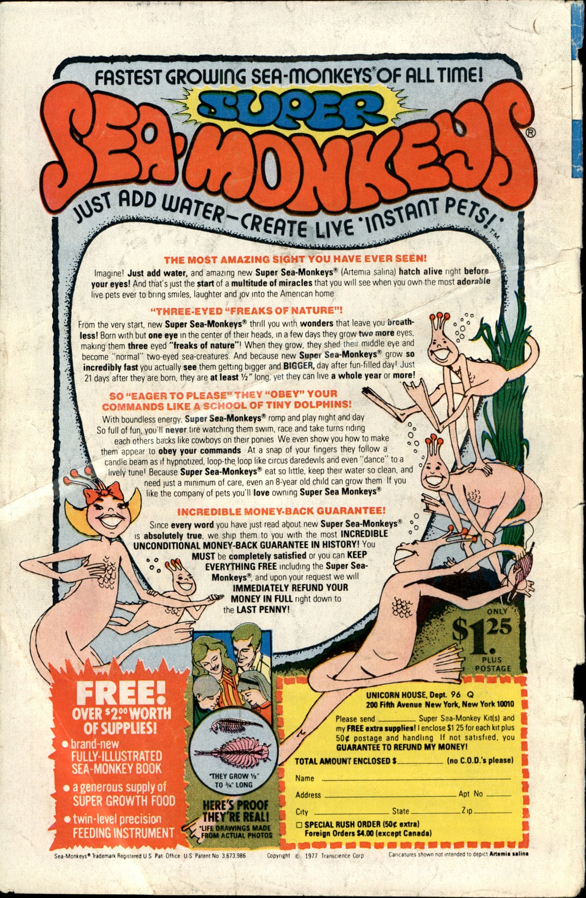 Read online Walter Lantz Woody Woodpecker (1962) comic -  Issue #167 - 36