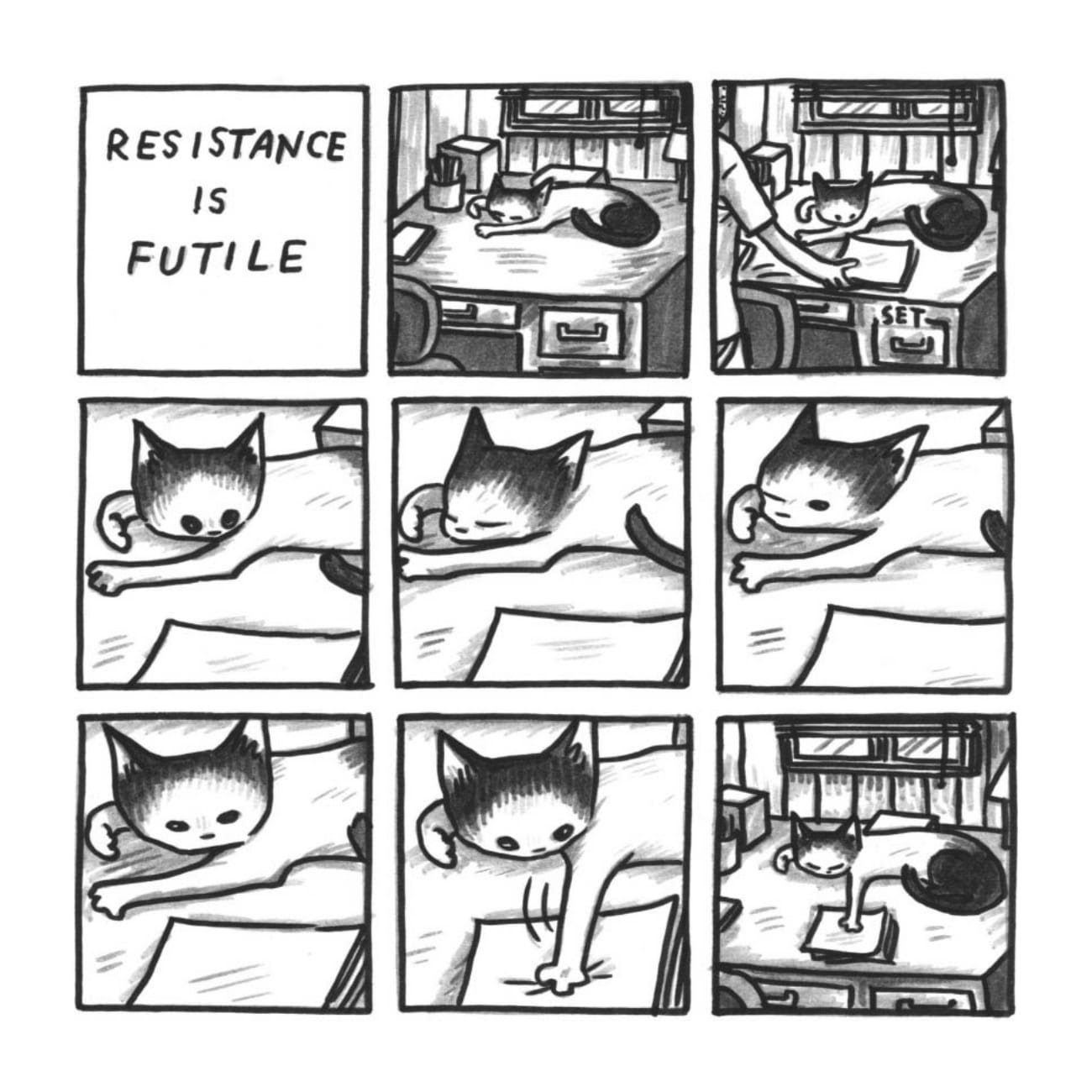 Read online Cats are Weird and More Observations comic -  Issue # TPB - 26