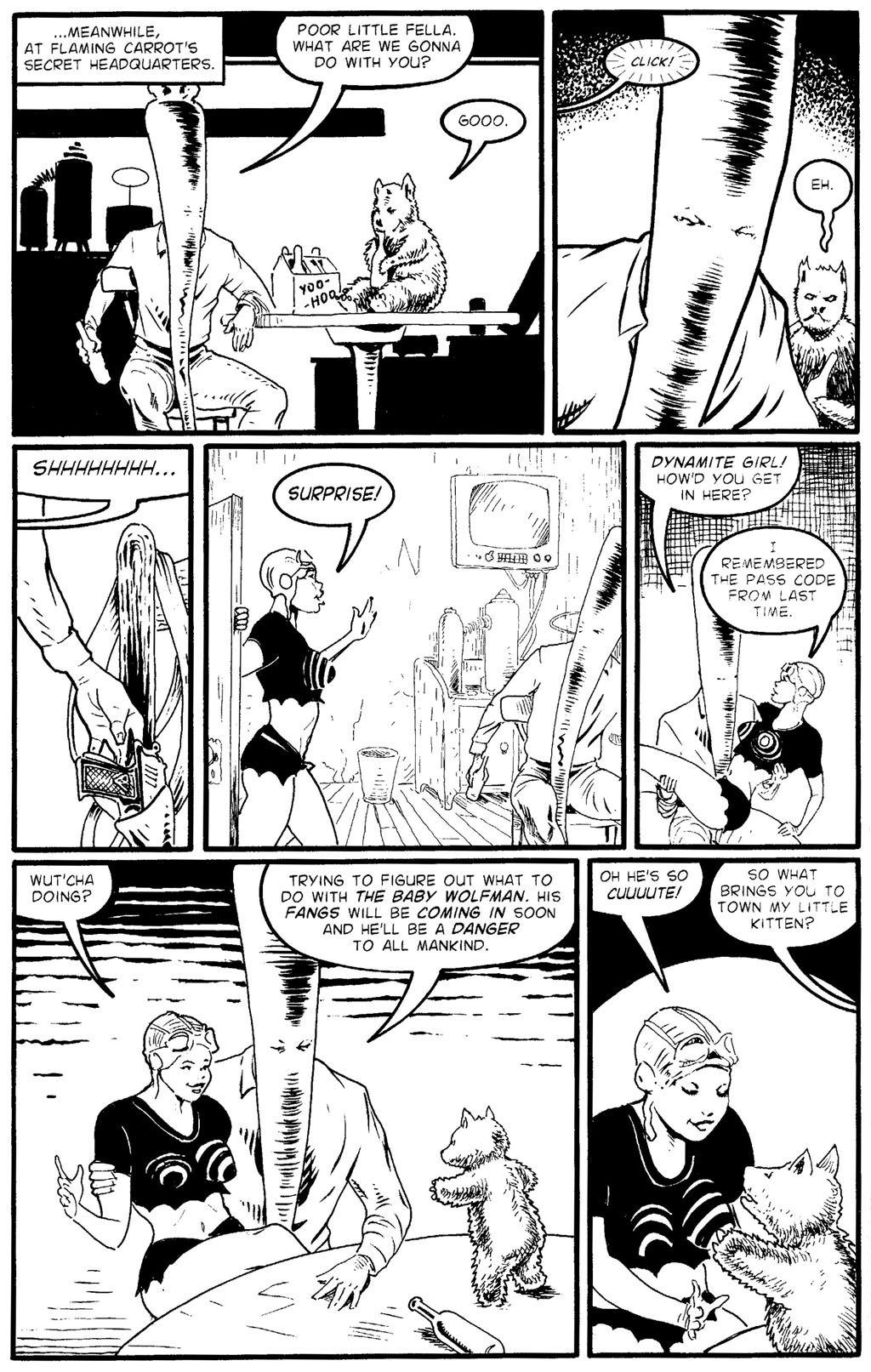 Read online Flaming Carrot Comics (2004) comic -  Issue #3 - 9