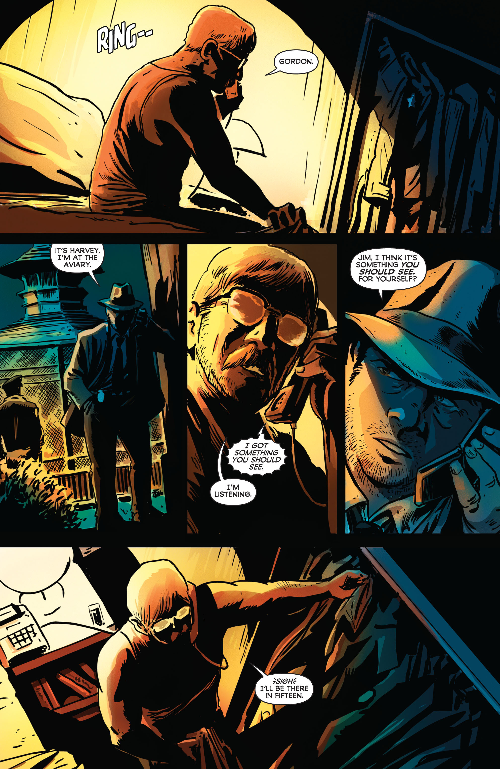 Read online Batman: The Black Mirror comic -  Issue # TPB - 77