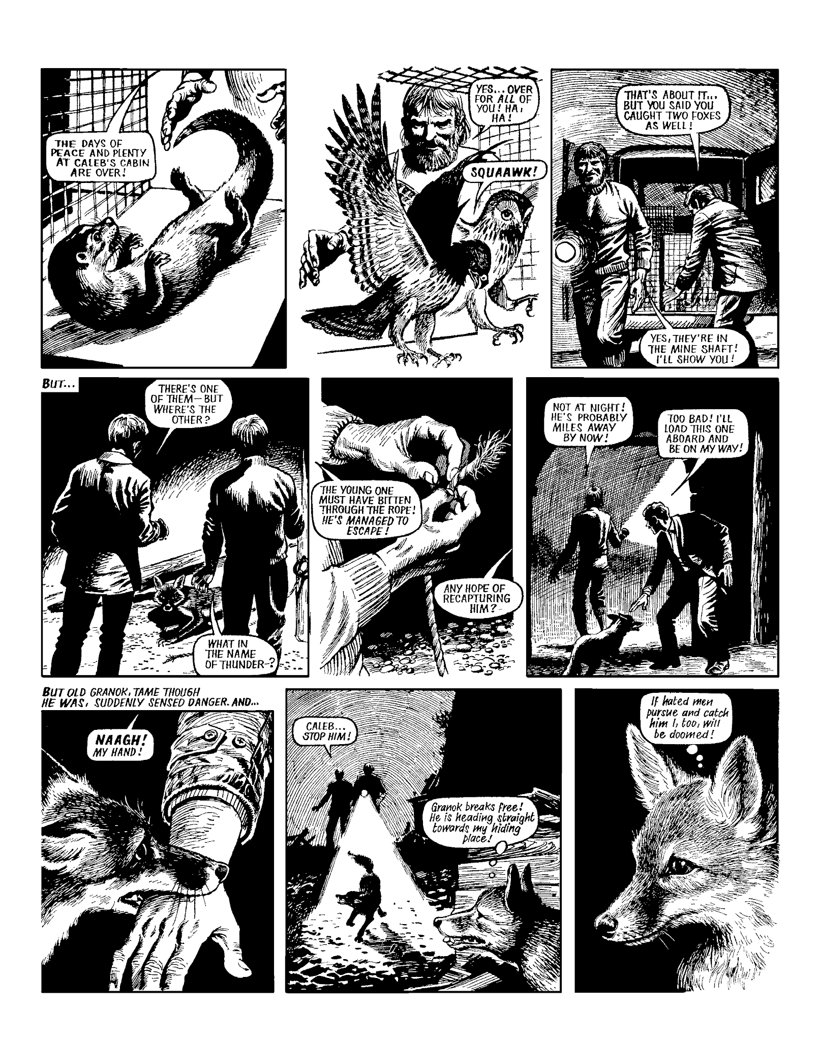 Read online Marney the Fox comic -  Issue # TPB (Part 2) - 111