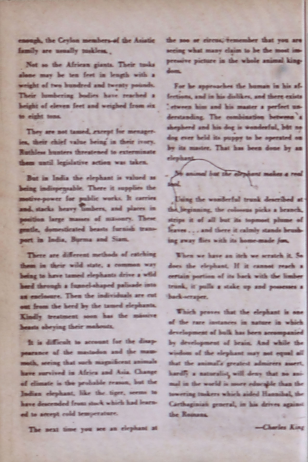 Read online Green Lantern (1941) comic -  Issue #37 - 36