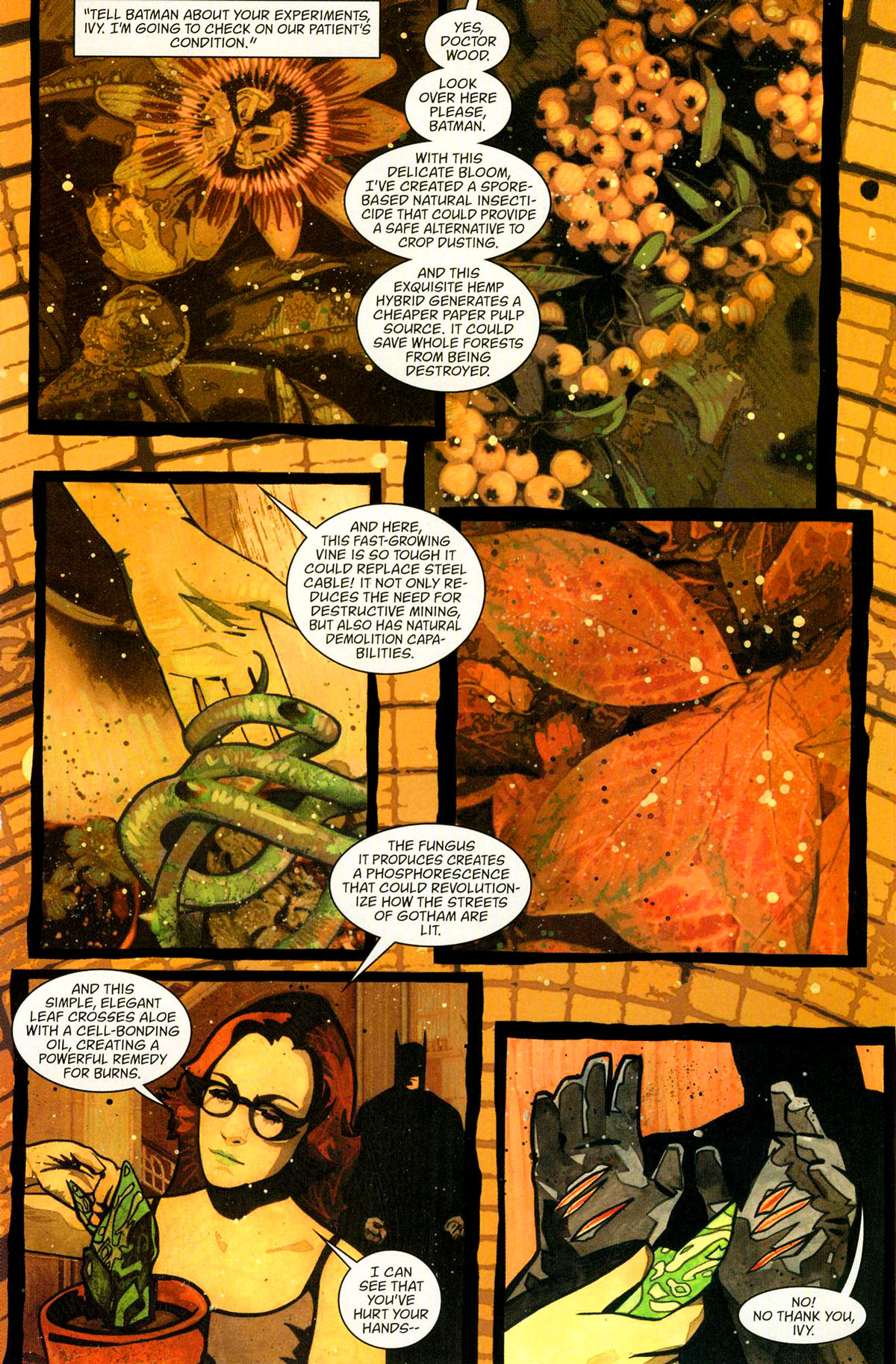 Read online Batman/Poison Ivy: Cast Shadows comic -  Issue # Full - 24