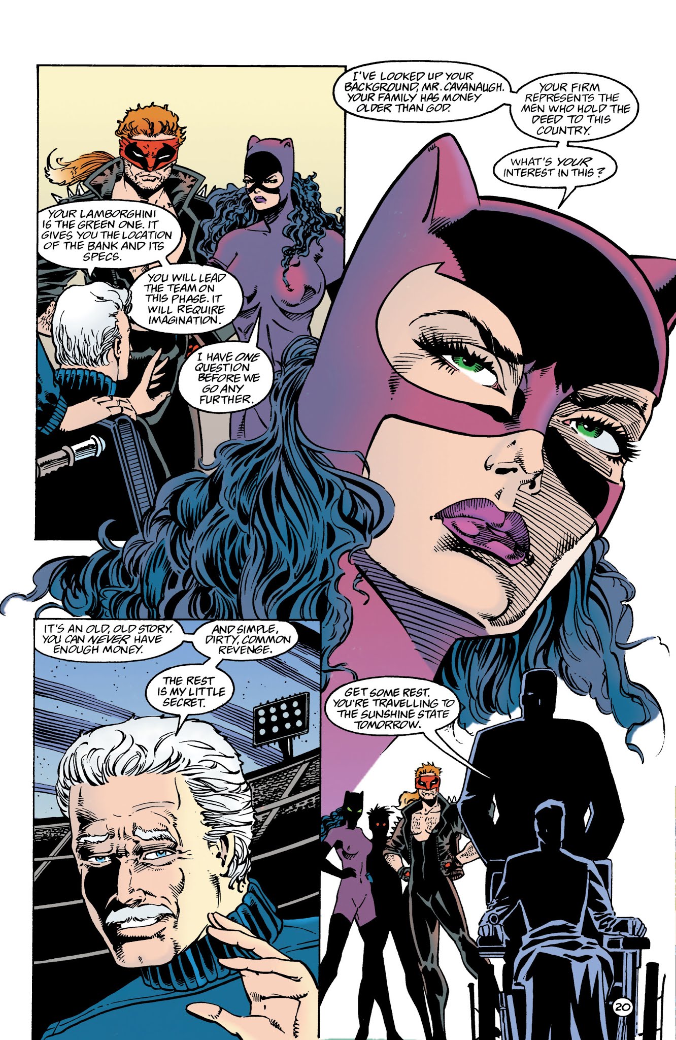 Read online Catwoman: A Celebration of 75 Years comic -  Issue # TPB (Part 3) - 70
