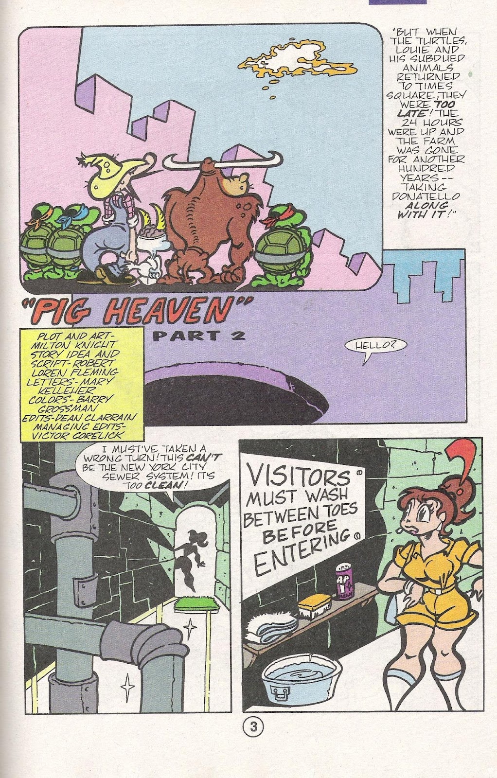 Teenage Mutant Ninja Turtles Adventures (1989) issue Special 4 - Page 37