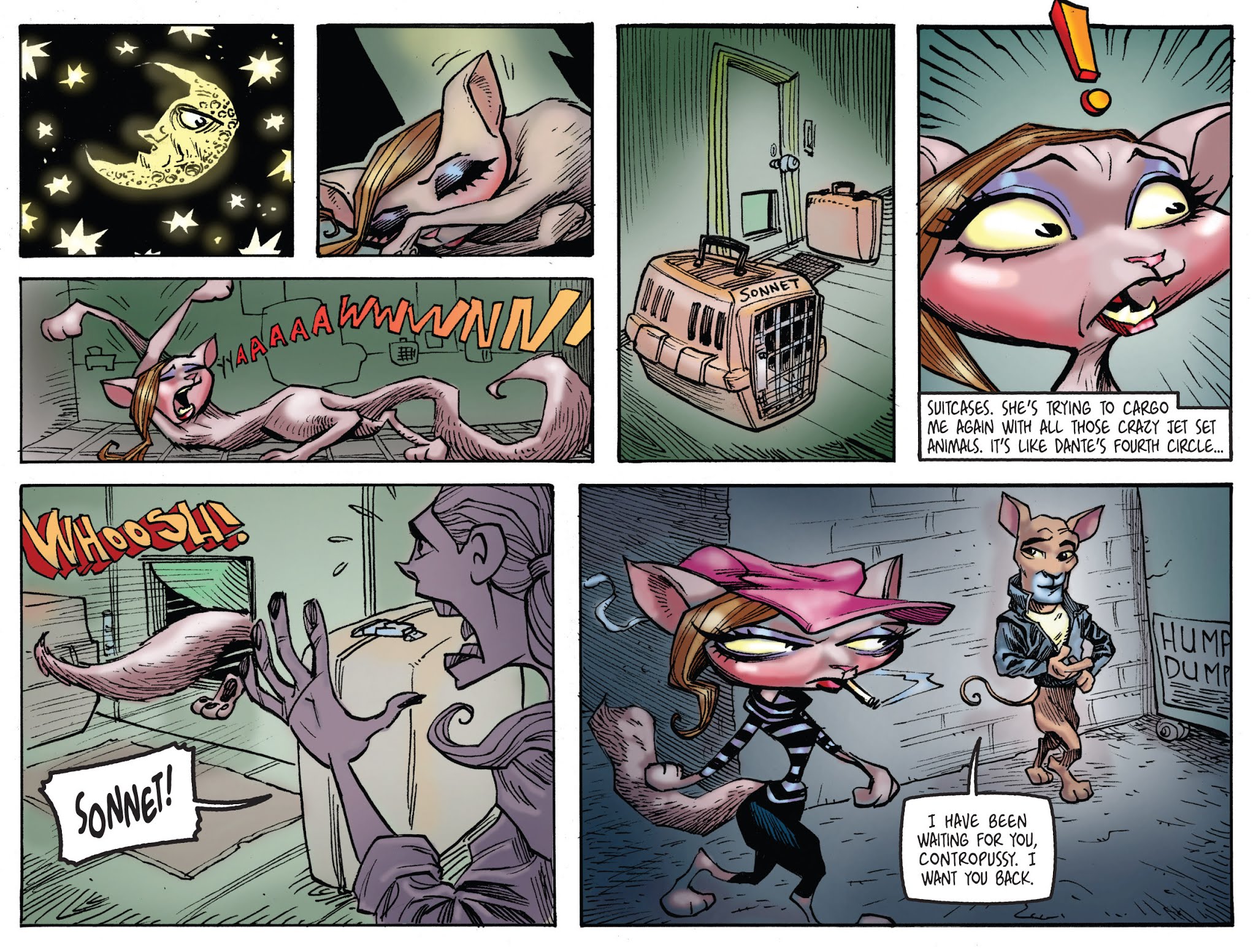 Read online Contropussy comic -  Issue # TPB - 33