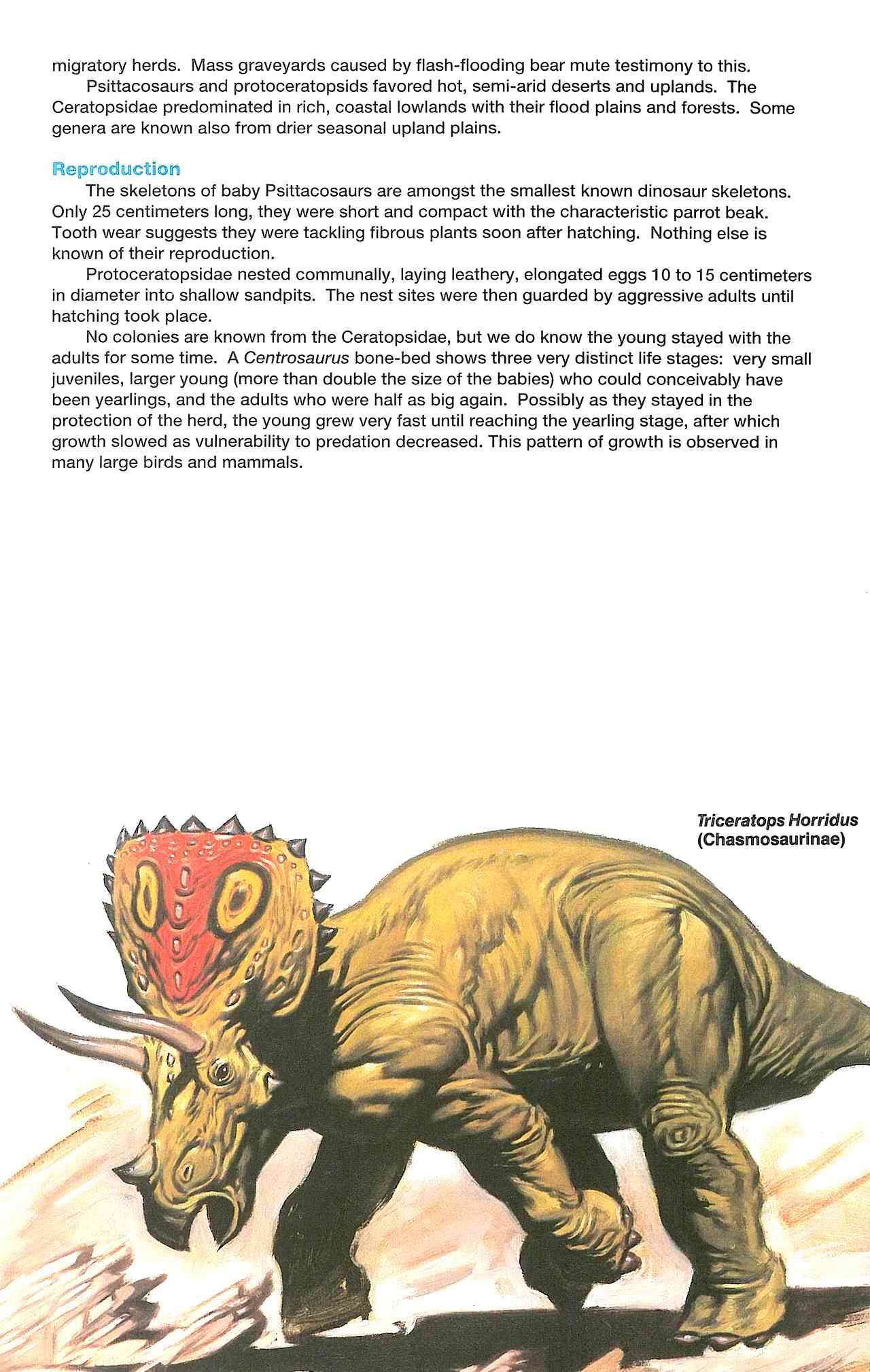 Read online Dinosaurs, A Celebration comic -  Issue #4 - 27