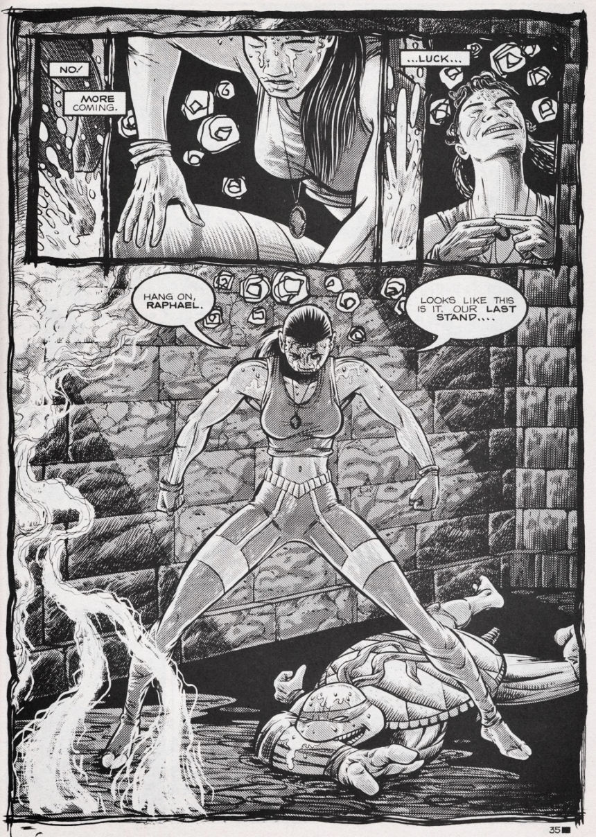 Teenage Mutant Ninja Turtles (1984) Issue #44 #44 - English 35