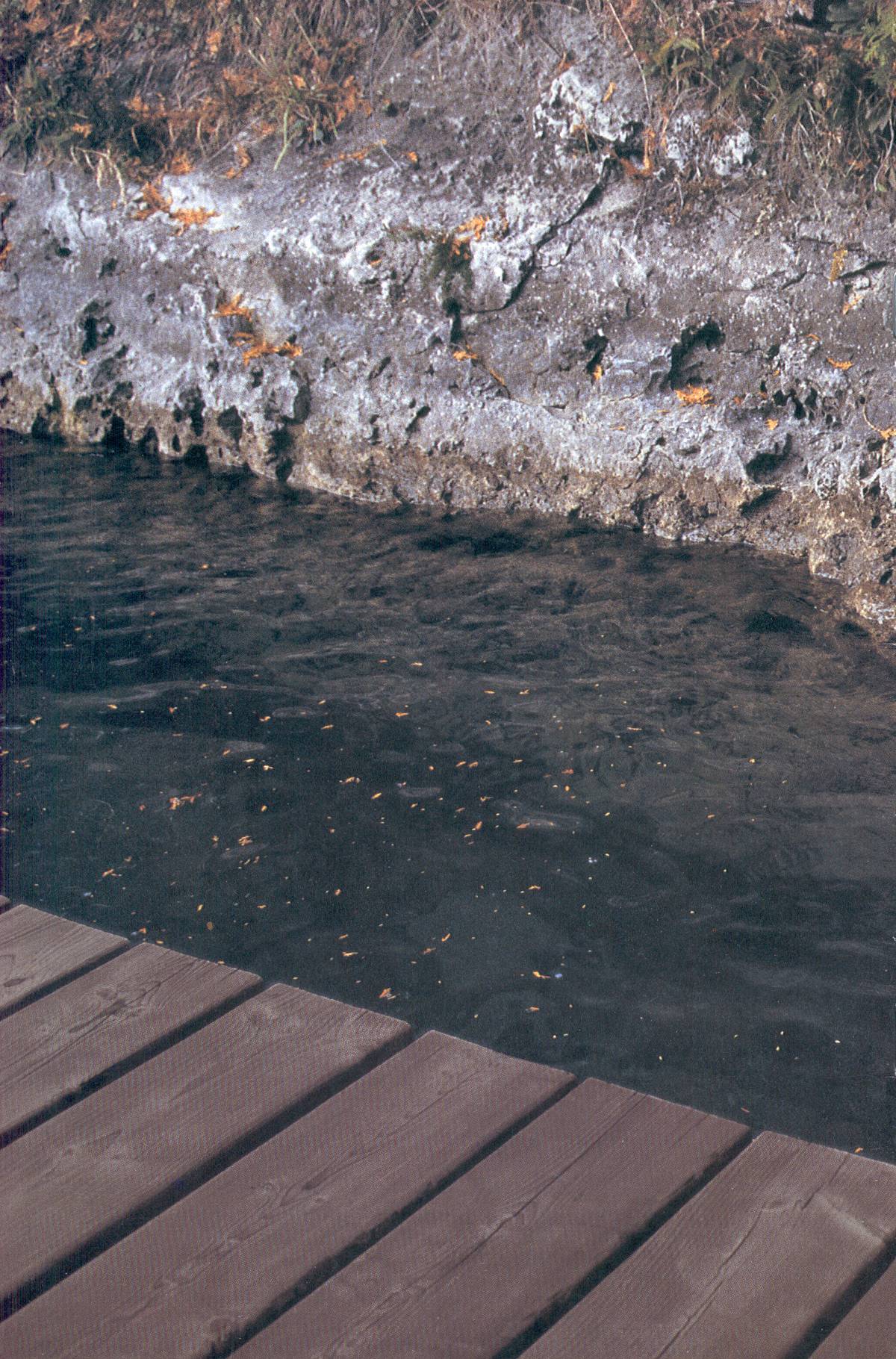 Read online Cerebus comic -  Issue #240 - 27