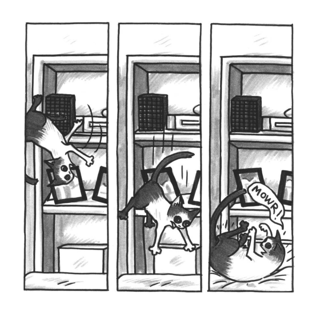 Read online Cats are Weird and More Observations comic -  Issue # TPB - 14