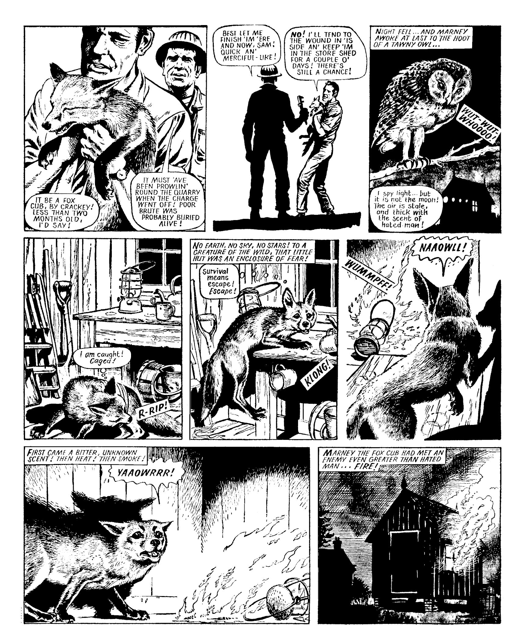 Read online Marney the Fox comic -  Issue # TPB (Part 1) - 18