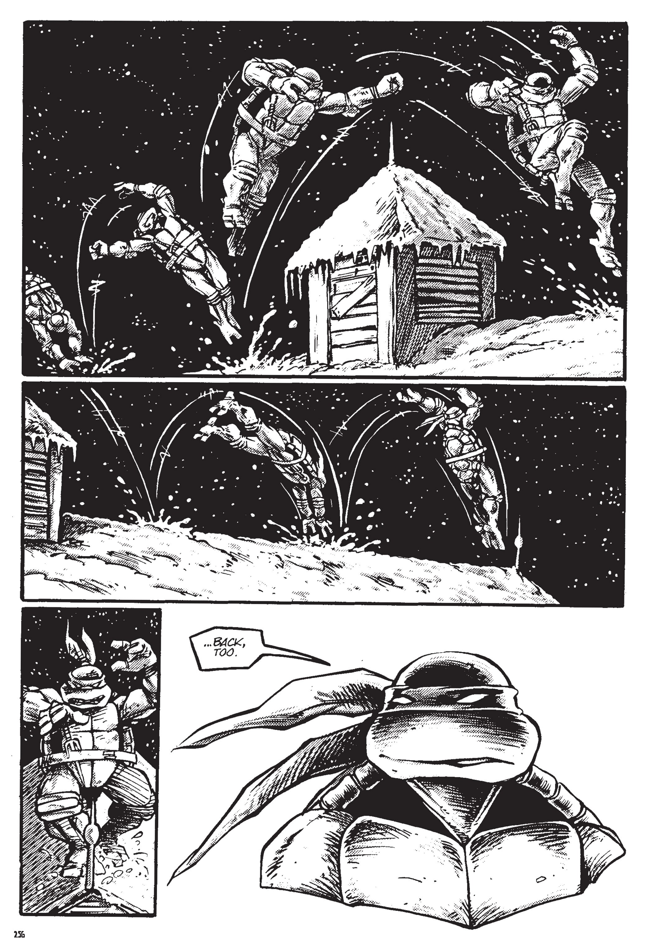 Read online Teenage Mutant Ninja Turtles: The Ultimate Collection comic -  Issue # TPB 2 (Part 3) - 55