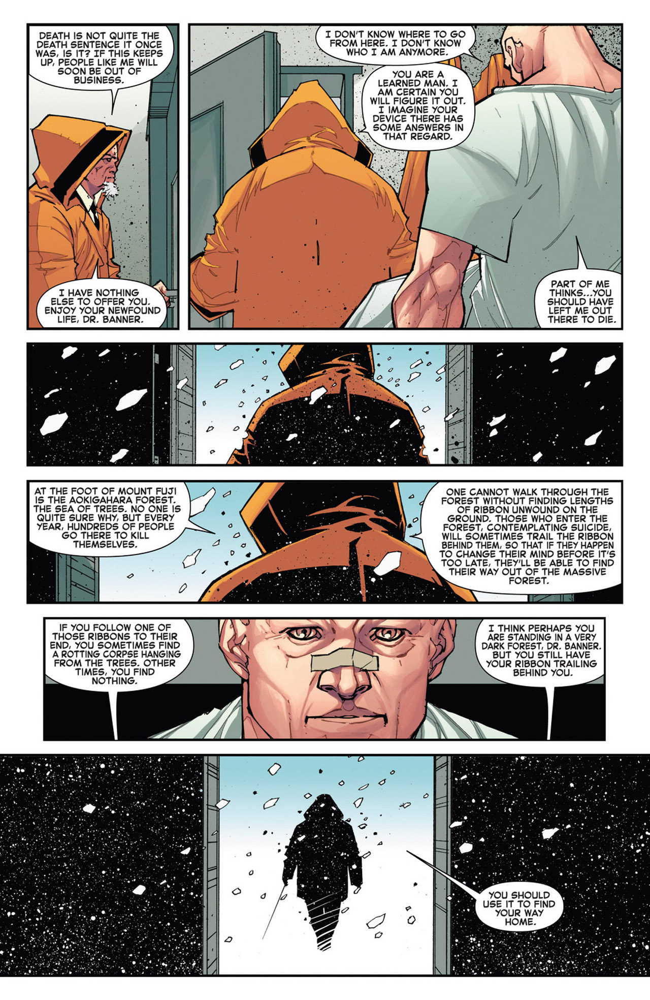 Incredible Hulk (2011) Issue #13 #14 - English 12