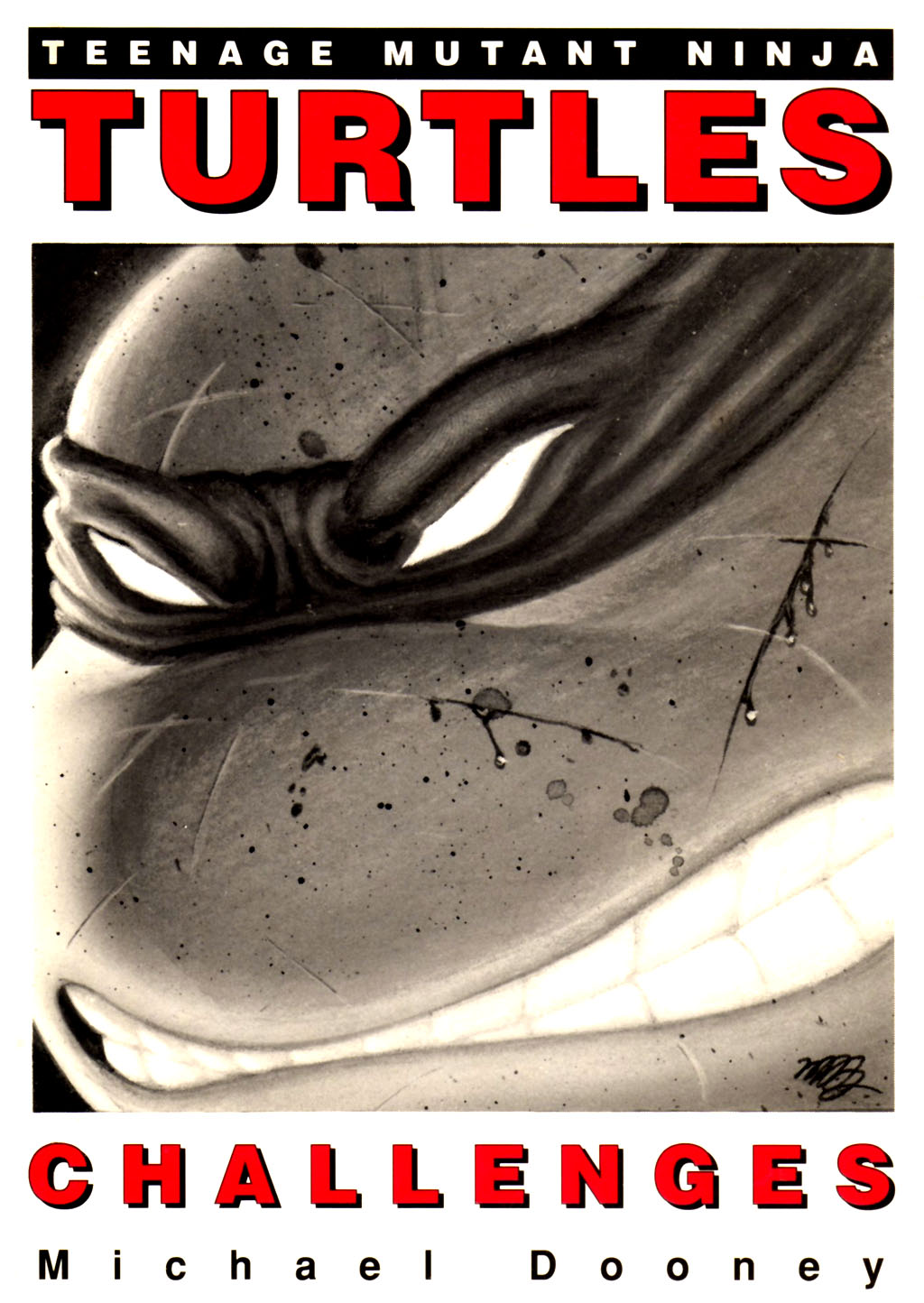 Read online Teenage Mutant Ninja Turtles: Challenges comic -  Issue # TPB - 1