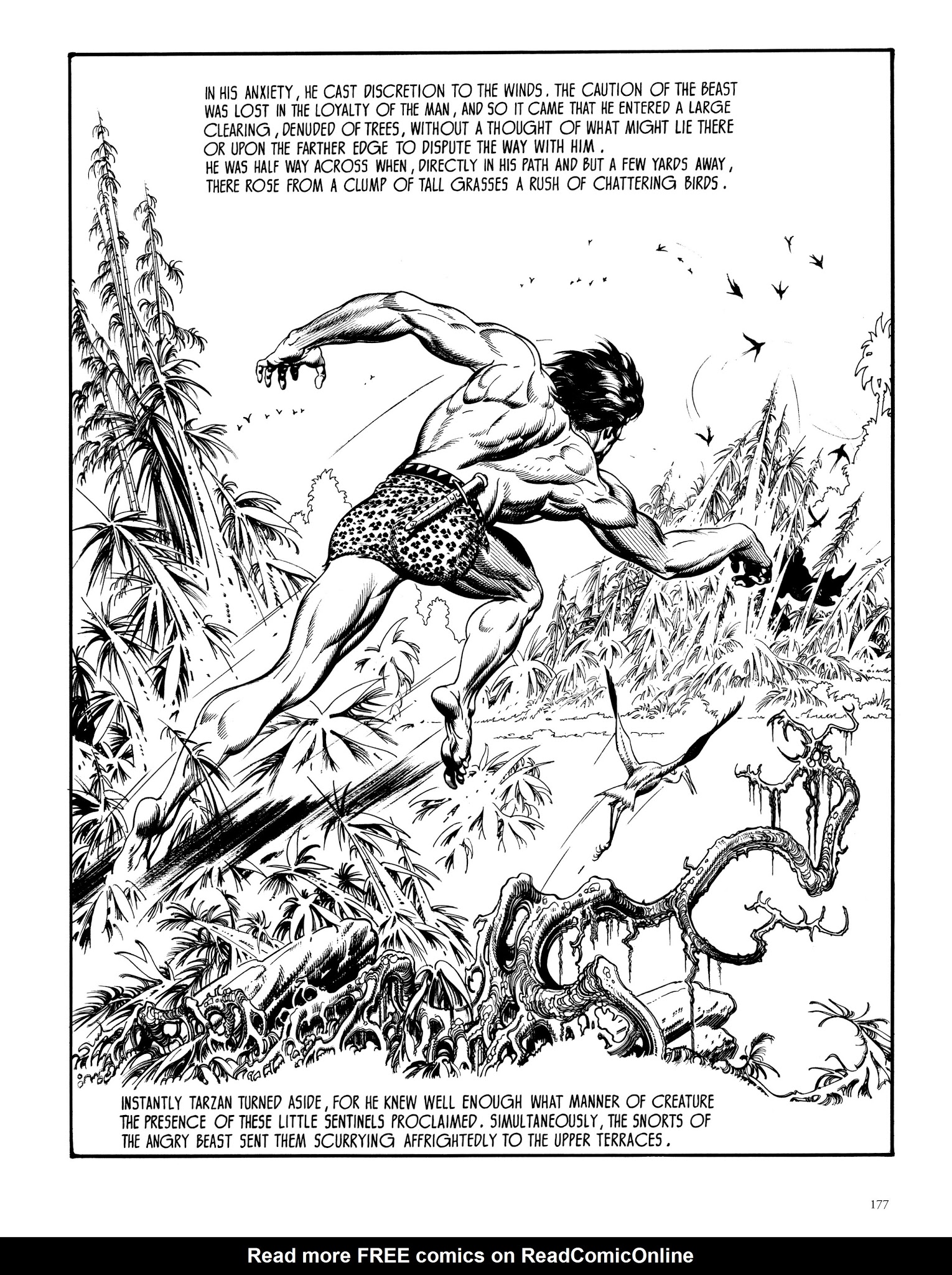 Read online Edgar Rice Burroughs' Tarzan: Burne Hogarth's Lord of the Jungle comic -  Issue # TPB - 176