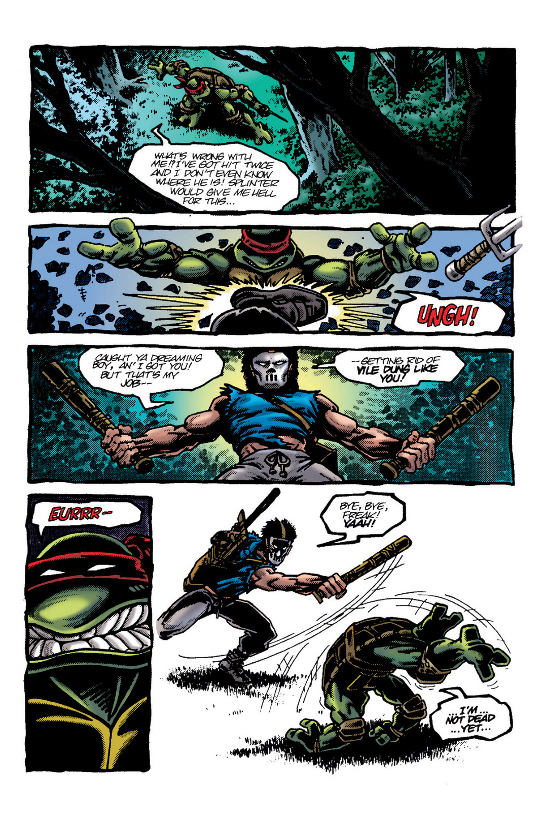 Read online Teenage Mutant Ninja Turtles Color Classics: Raphael Micro-Series One-Shot comic -  Issue # Full - 24