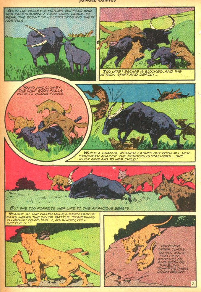 Read online Jungle Comics comic -  Issue #90 - 14