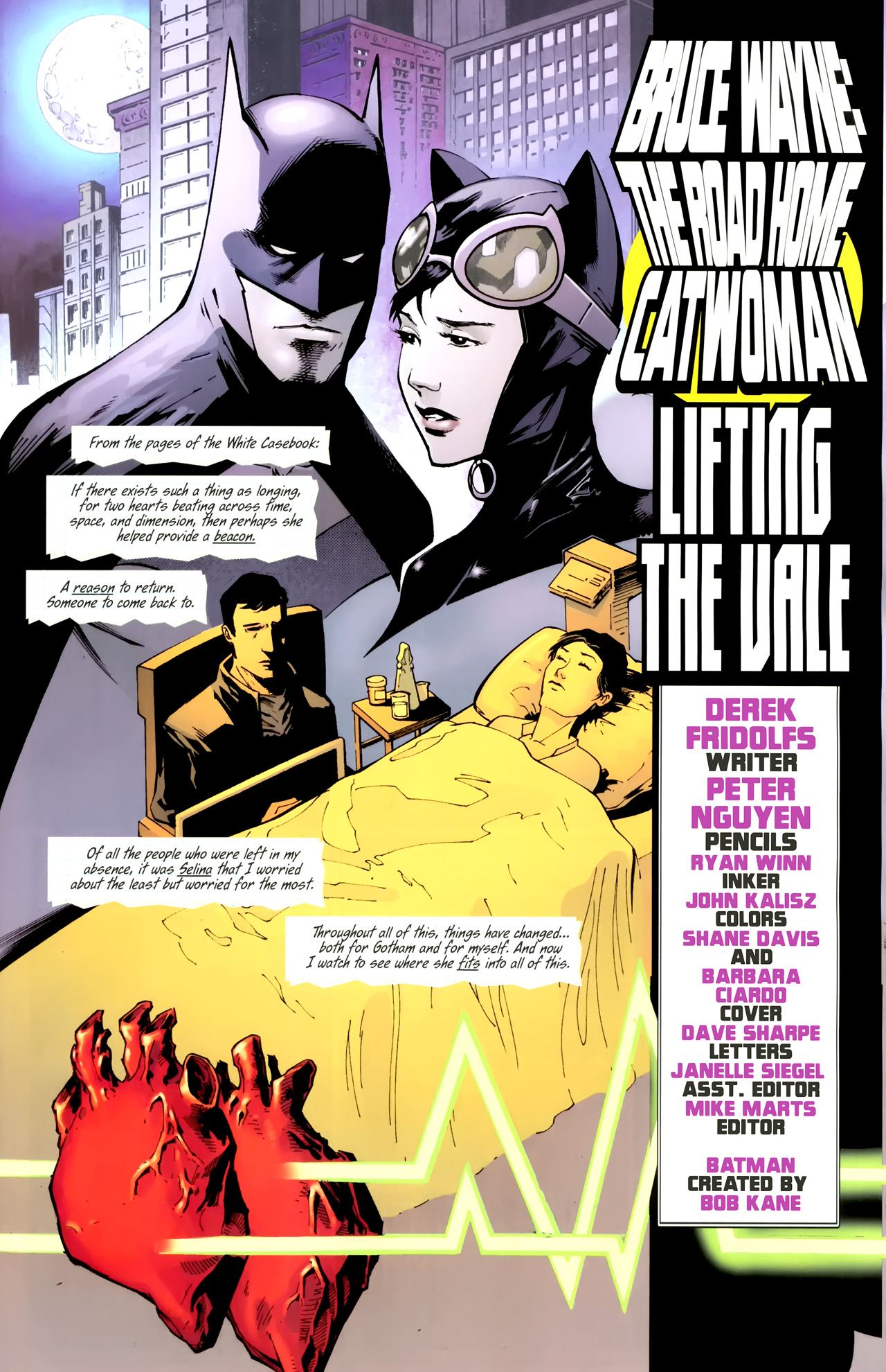 Read online Bruce Wayne: The Road Home comic -  Issue # Issue Catwoman - 2