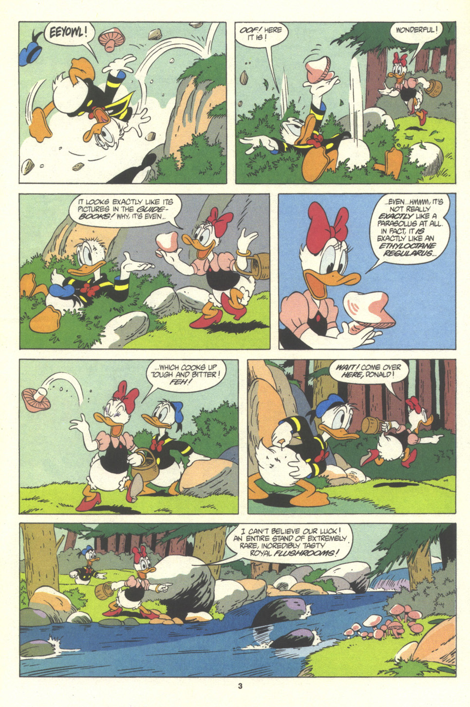 Read online Donald Duck Adventures comic -  Issue #6 - 23