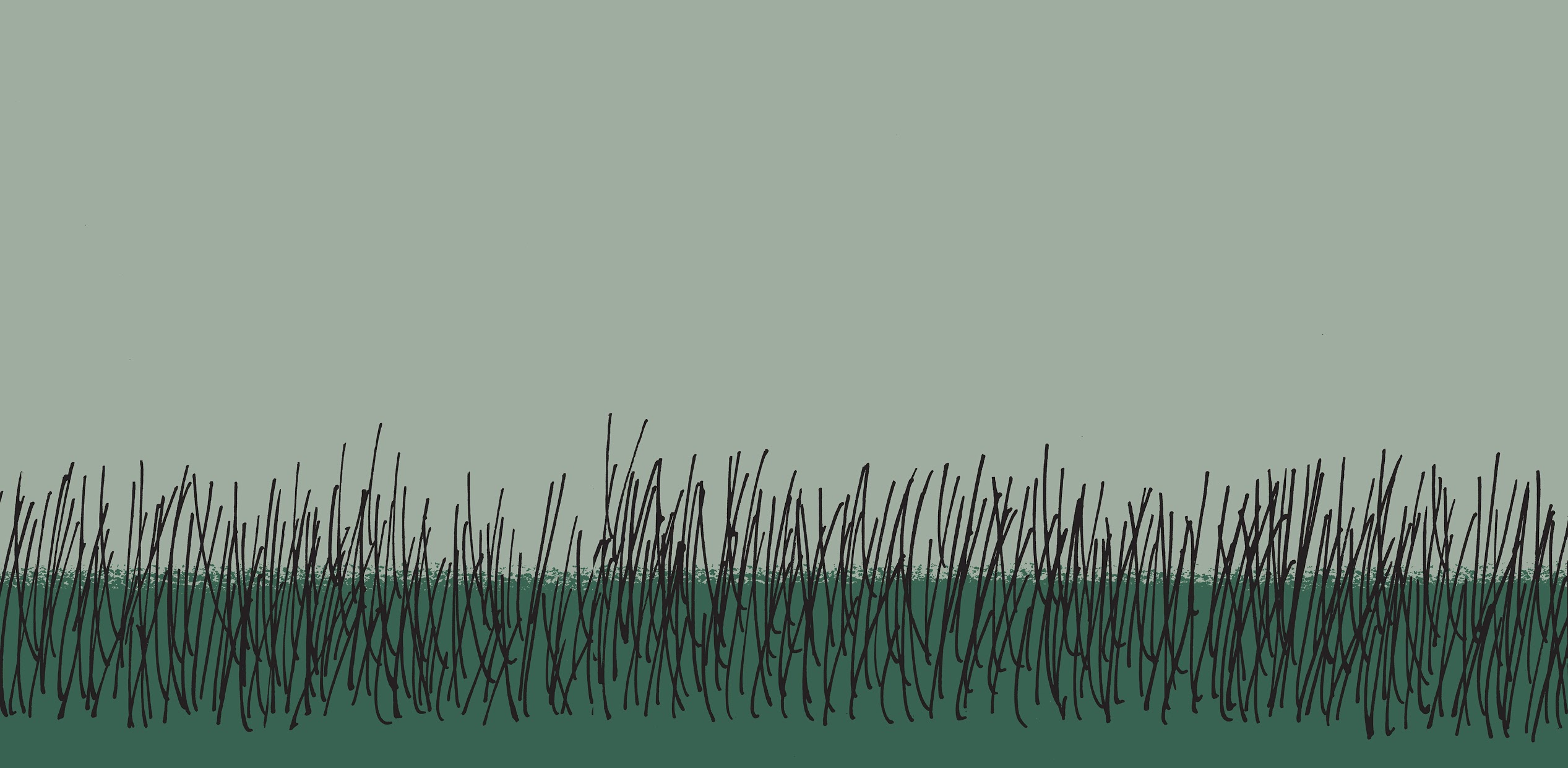 Read online The Complete Peanuts comic -  Issue # TPB 6 - 338