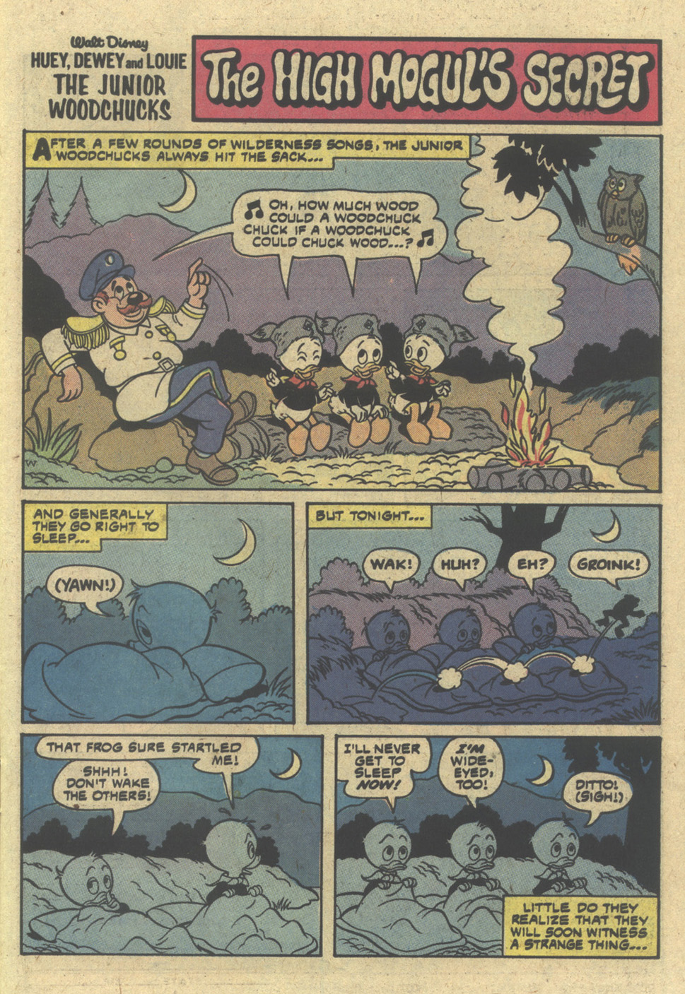 Read online Huey, Dewey, and Louie Junior Woodchucks comic -  Issue #58 - 15