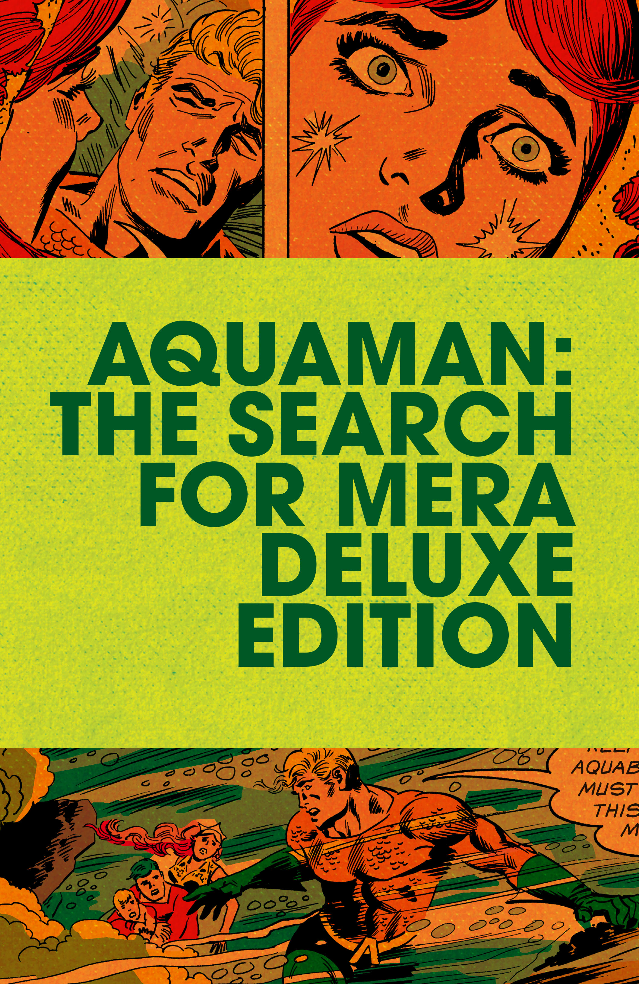 Read online Aquaman (1962) comic -  Issue # _TPB The Search for Mera Deluxe Edition (Part 1) - 2