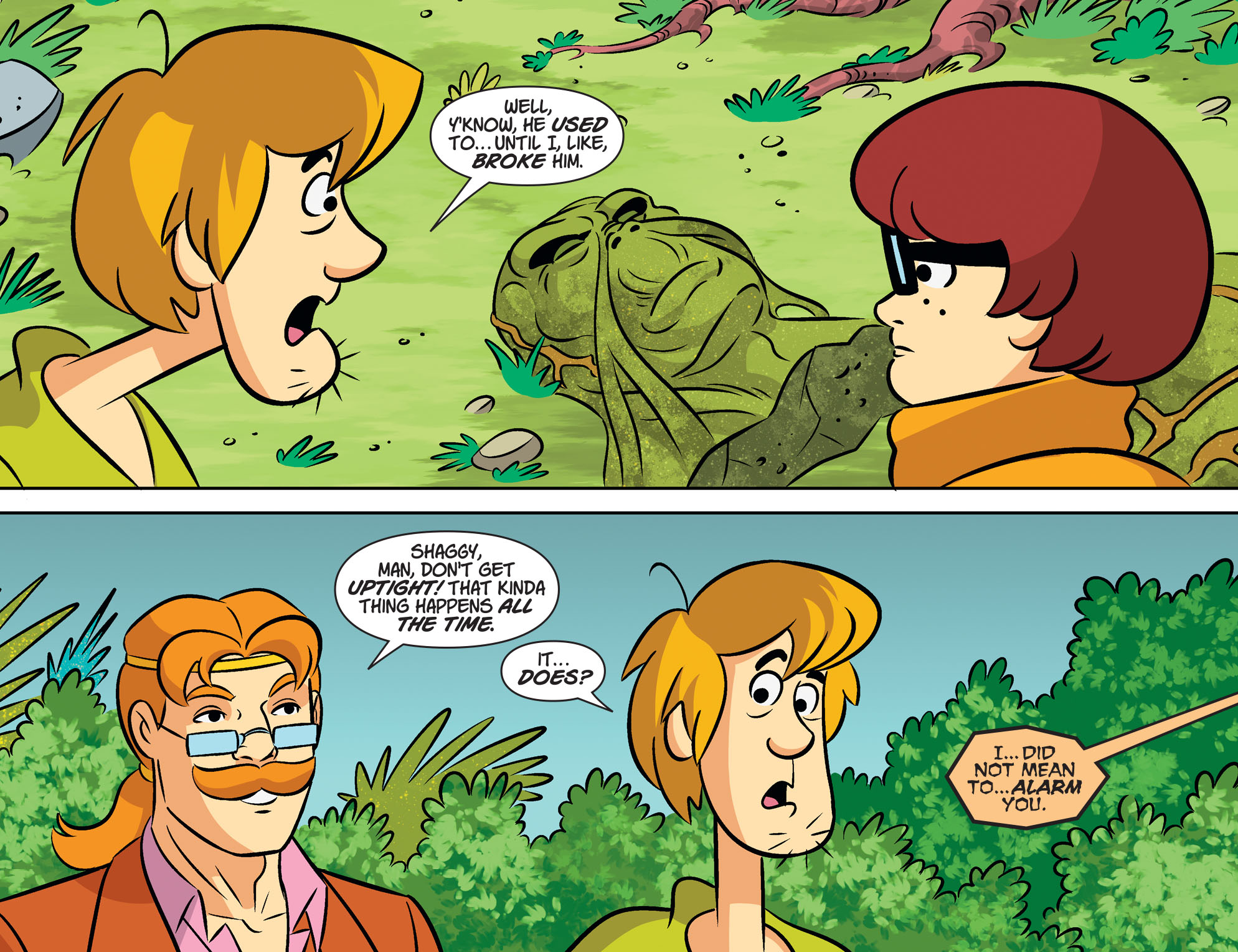 Read online Scooby-Doo! Team-Up comic -  Issue #80 - 15