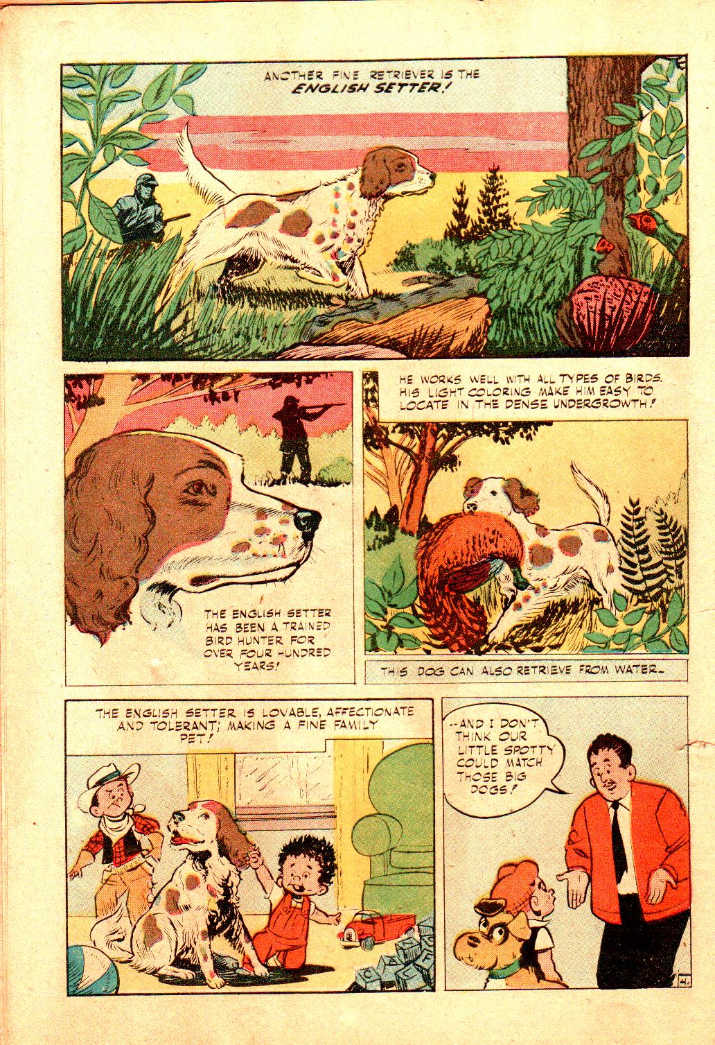 Read online Little Archie In Animal Land comic -  Issue #18 - 30
