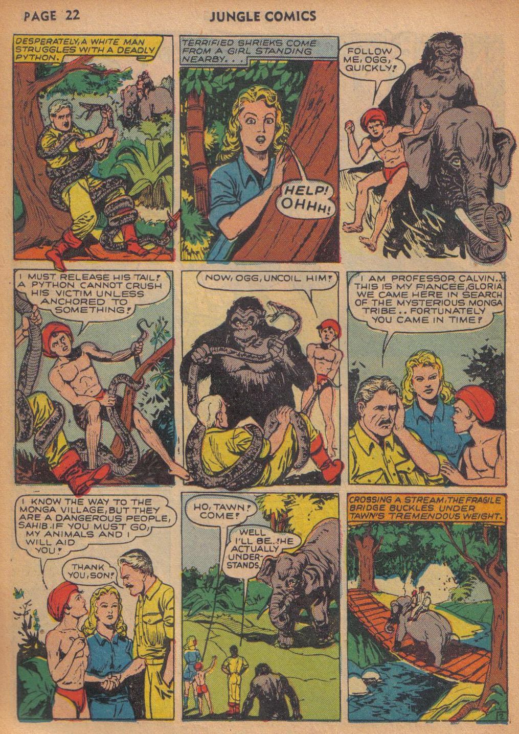 Read online Jungle Comics comic -  Issue #29 - 23