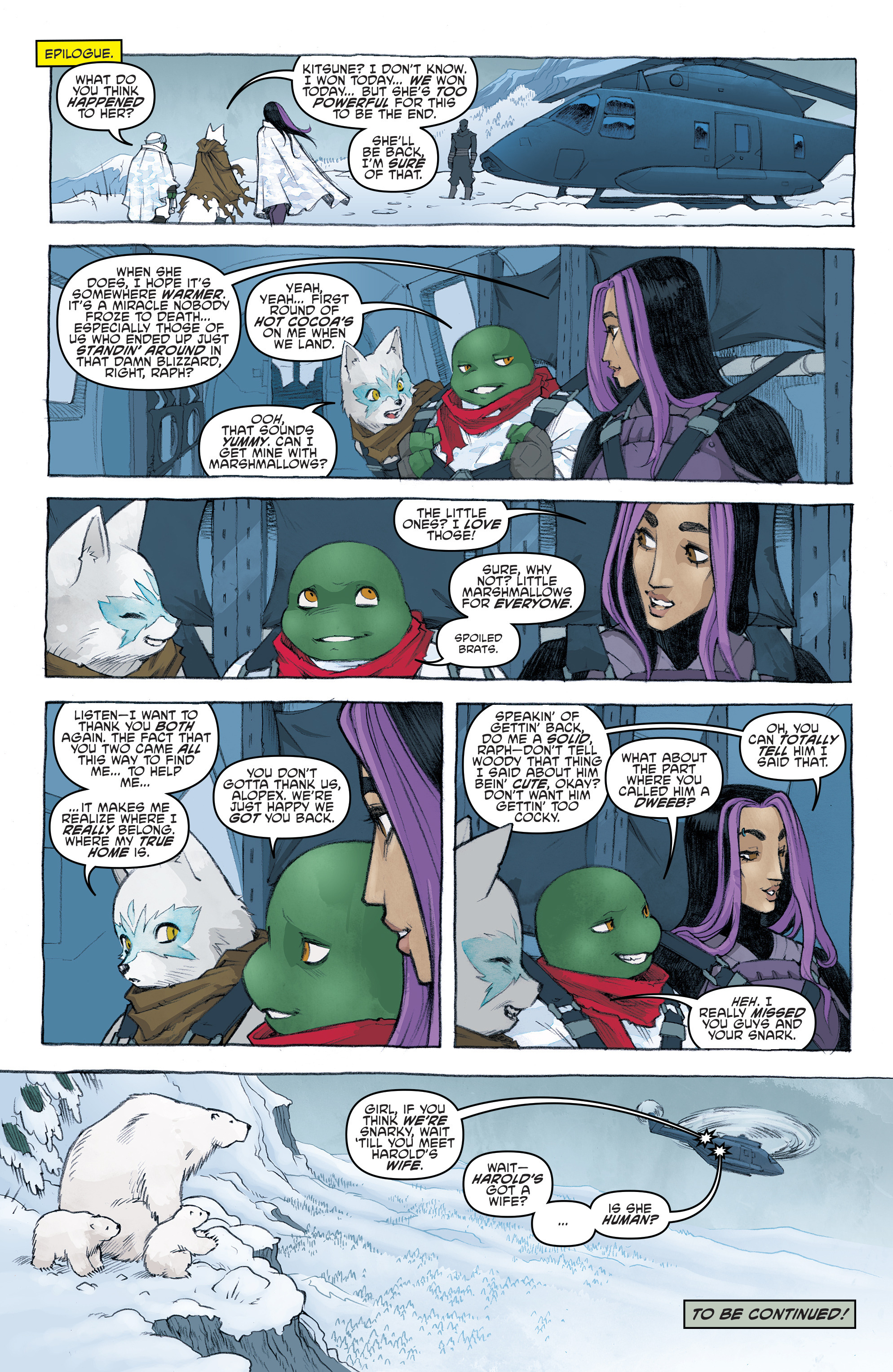 Read online Teenage Mutant Ninja Turtles (2011) comic -  Issue #66 - 22