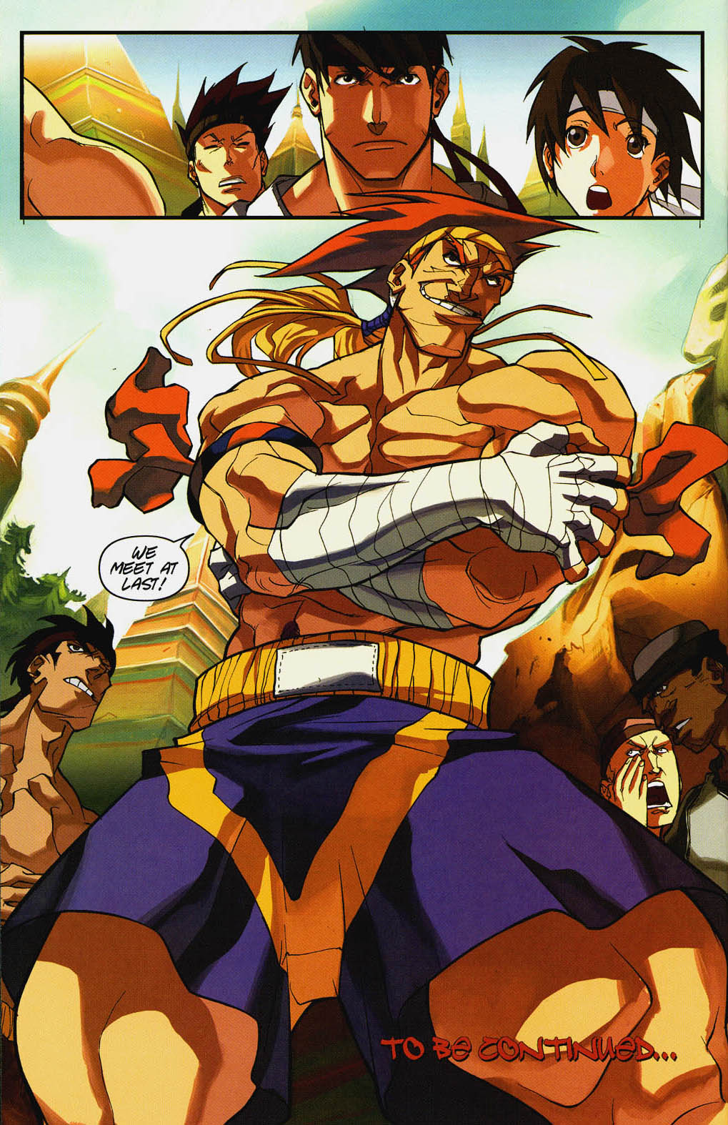 Read online Street Fighter (2003) comic -  Issue #8 - 19