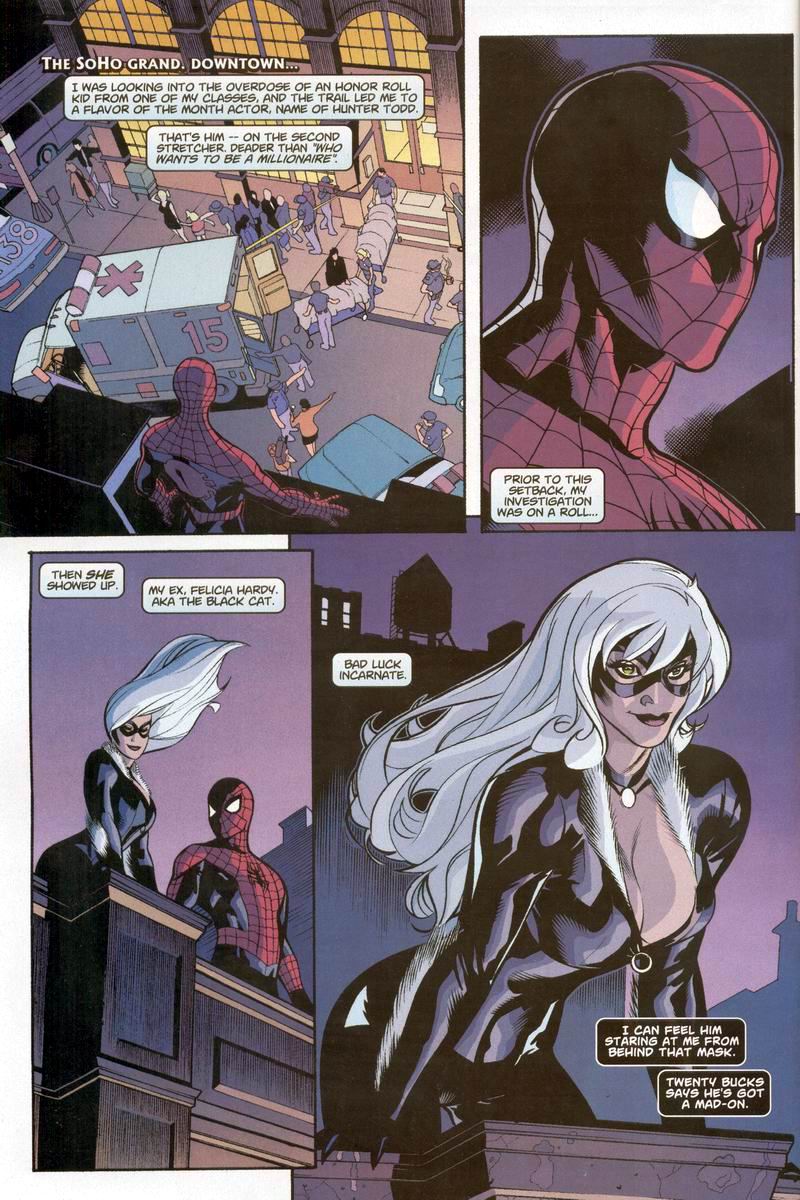 Read online Spider-Man/Black Cat: The Evil That Men Do comic -  Issue #2 - 5