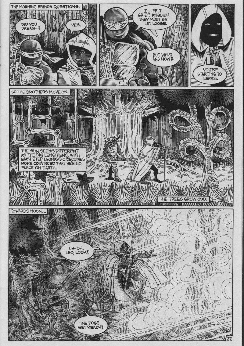 Teenage Mutant Ninja Turtles (1984) Issue #37 #37 - English 27