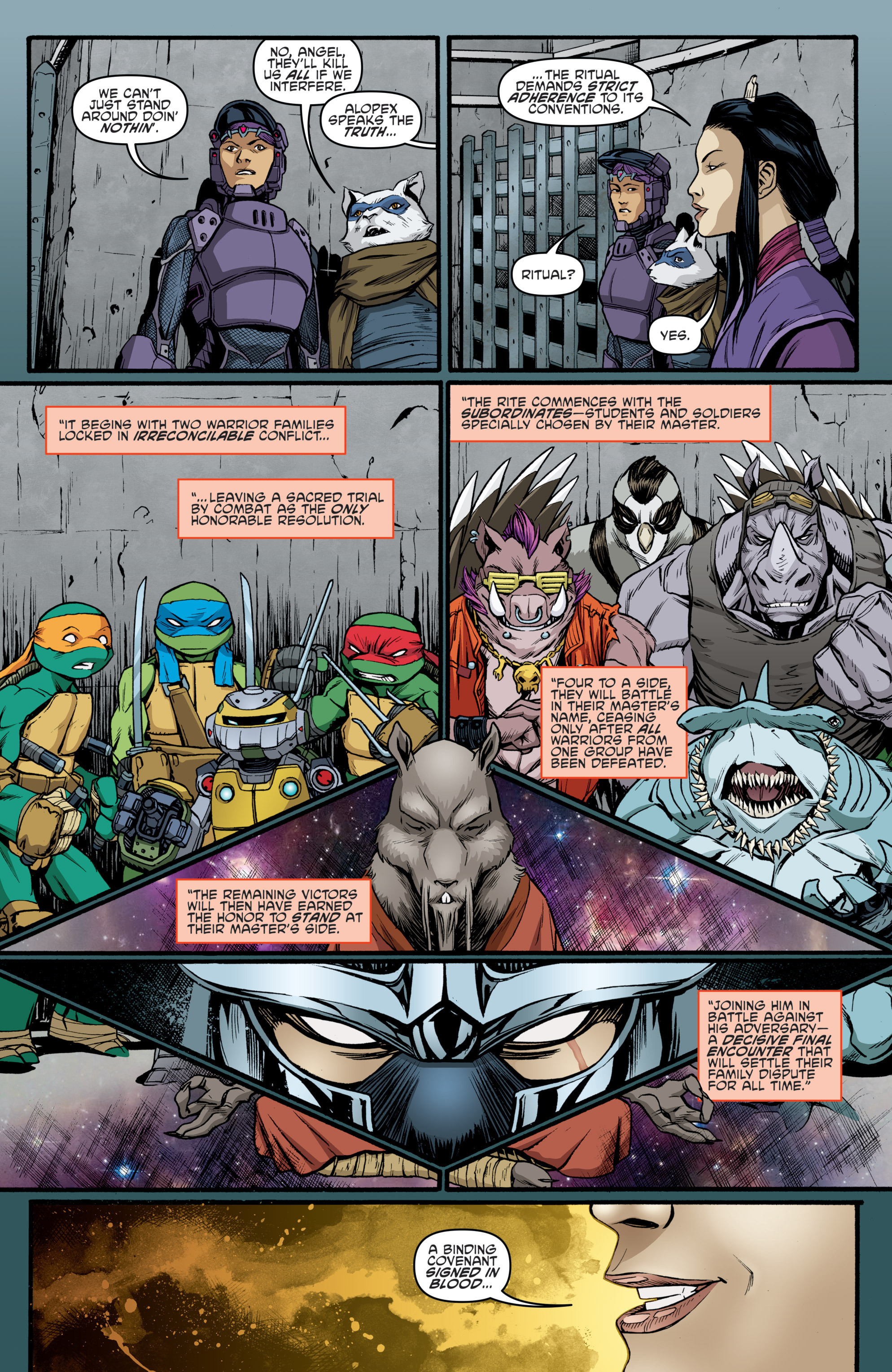 Read online Teenage Mutant Ninja Turtles (2011) comic -  Issue #49 - 15