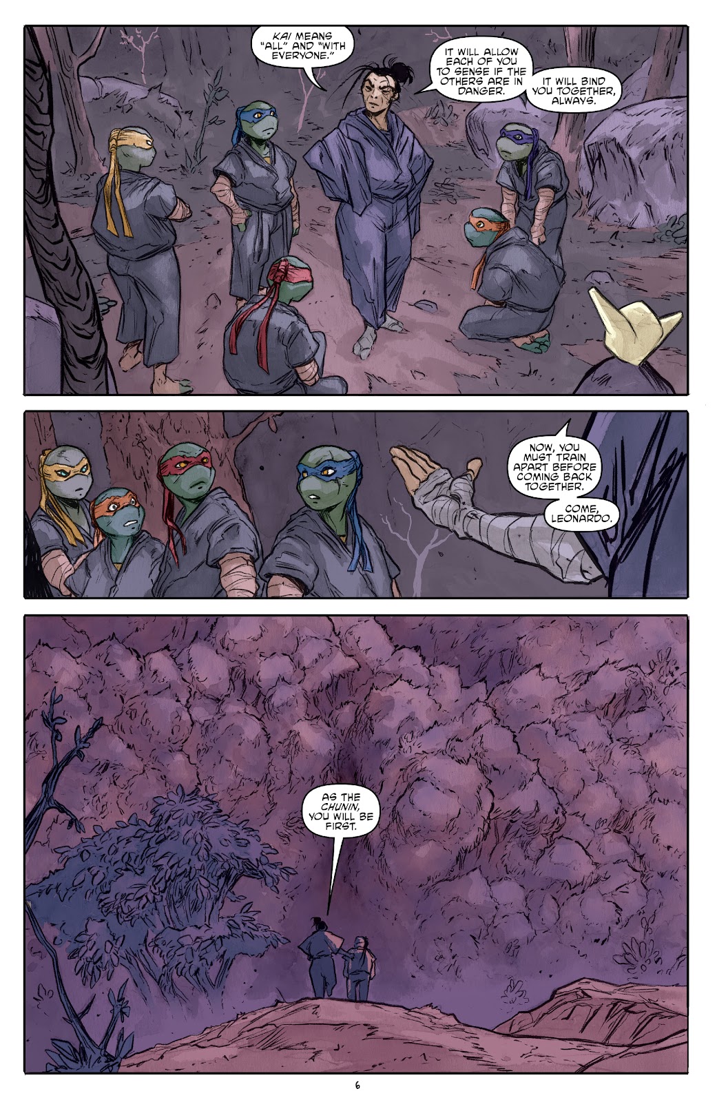 Teenage Mutant Ninja Turtles (2011) issue 132 - Page 8