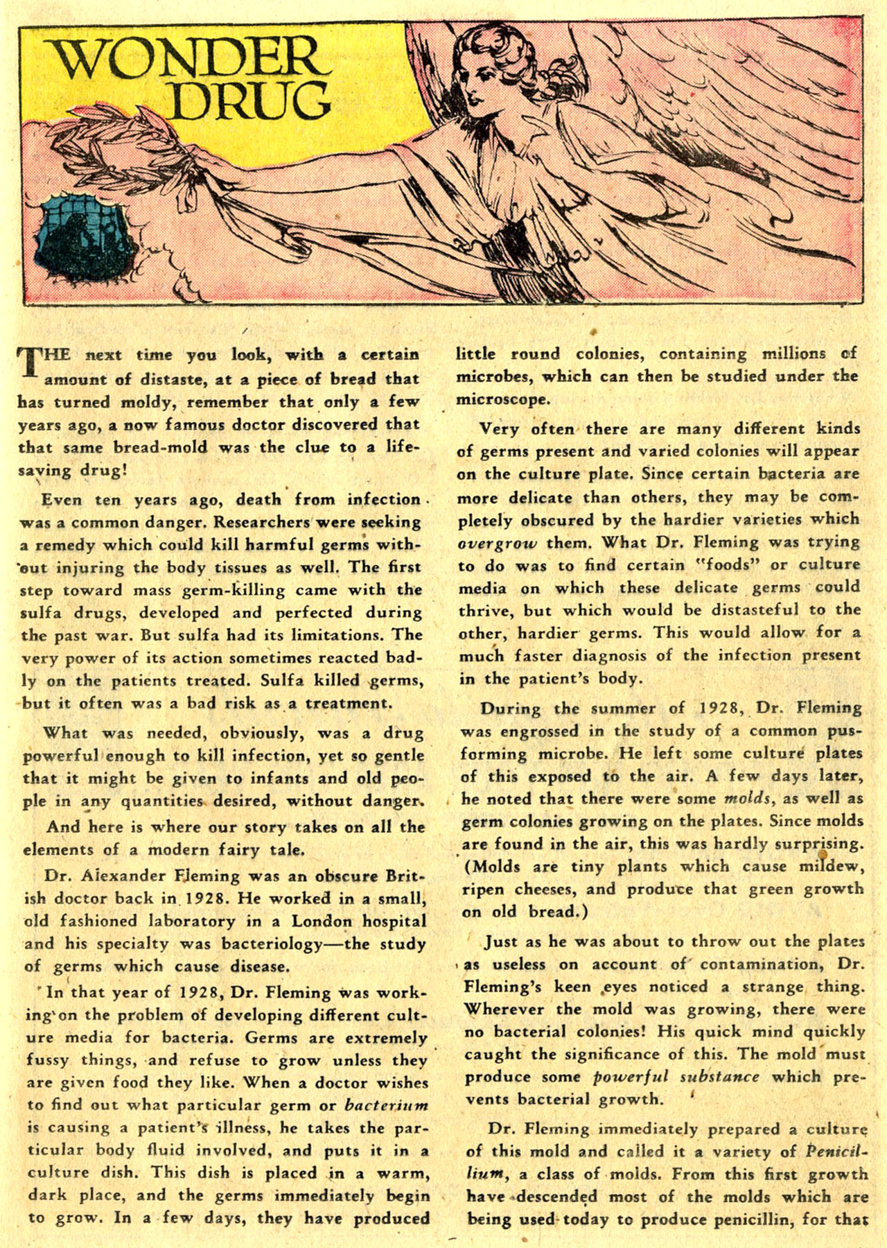 Read online Batman (1940) comic -  Issue #54 - 31