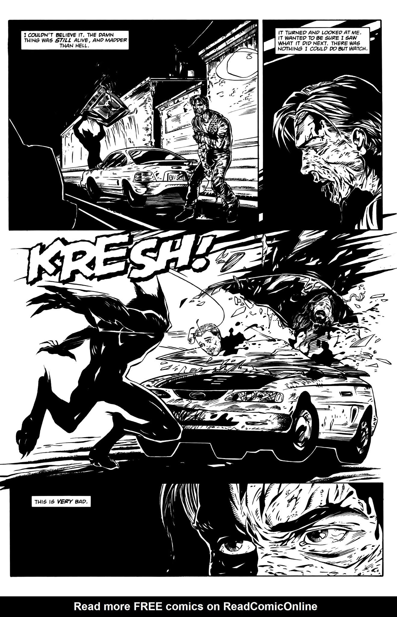 Read online Hairball: A Cal McDonald Mystery comic -  Issue # Full - 28