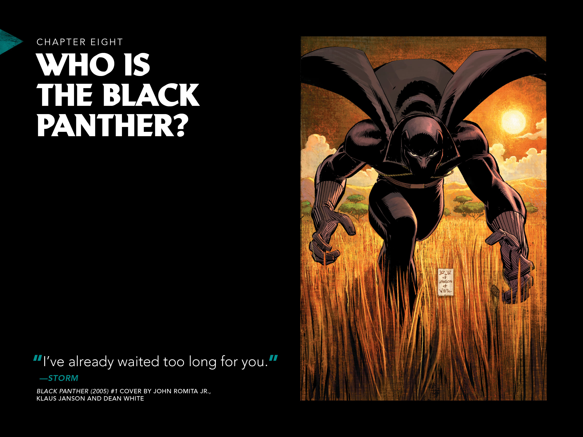 Read online Black Panther: Visions of Wakanda comic -  Issue # TPB (Part 2) - 82