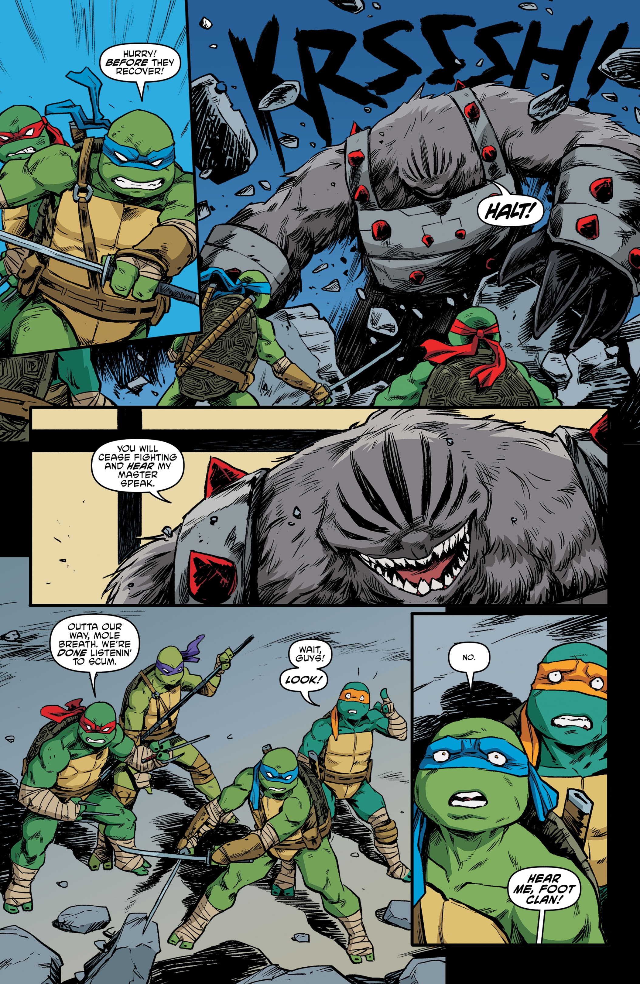 Read online Teenage Mutant Ninja Turtles: The IDW Collection comic -  Issue # TPB 13 (Part 3) - 20