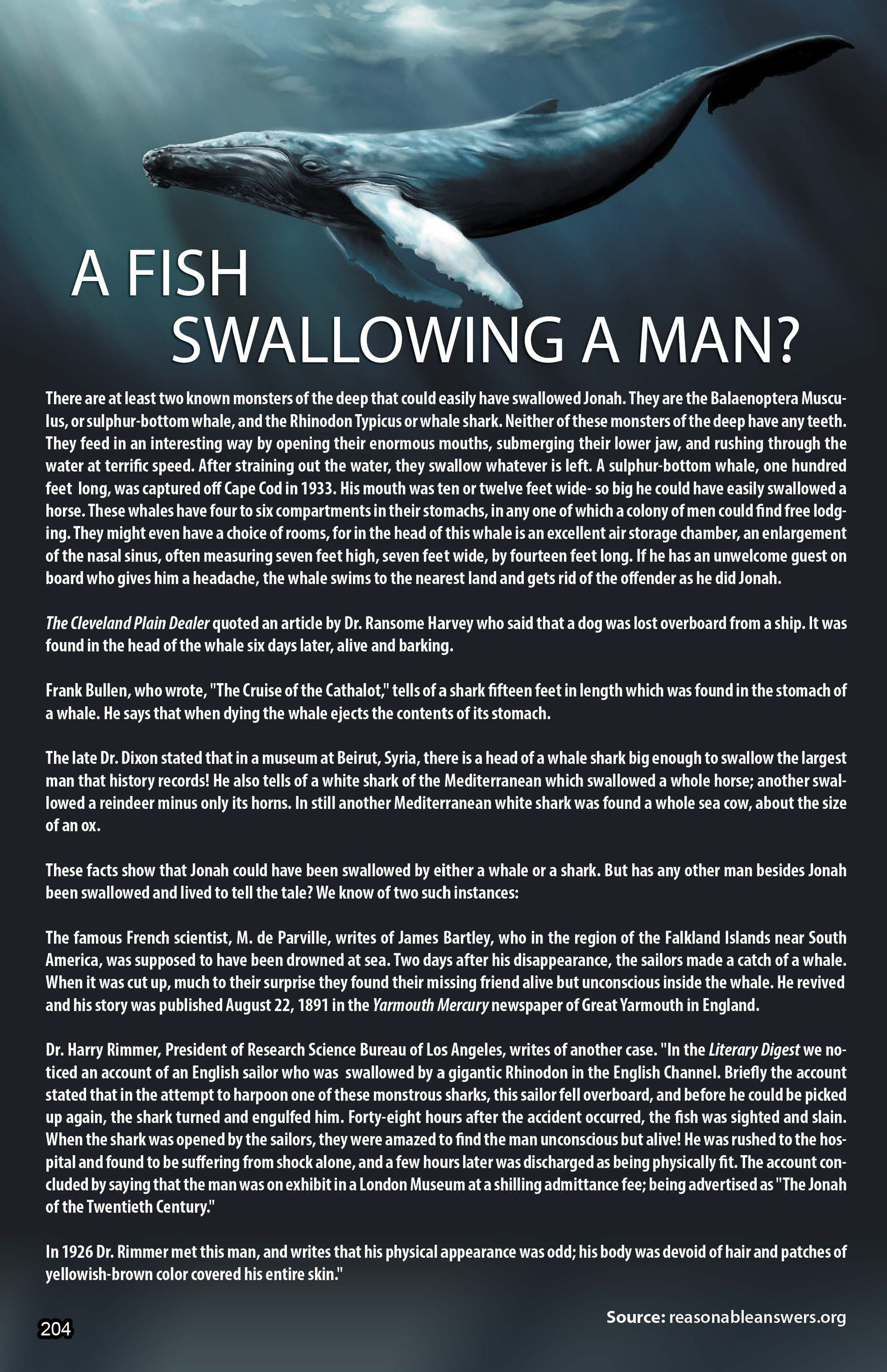 Read online The Kingstone Bible comic -  Issue #8 - 200