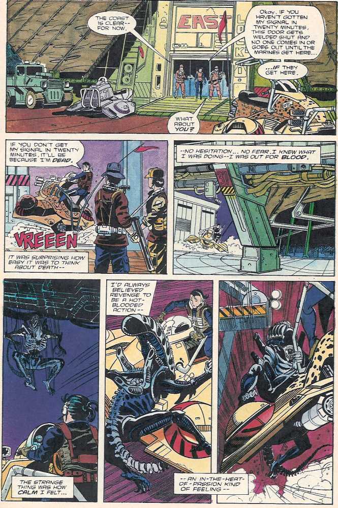 Read online Aliens vs. Predator comic -  Issue #3 - 14