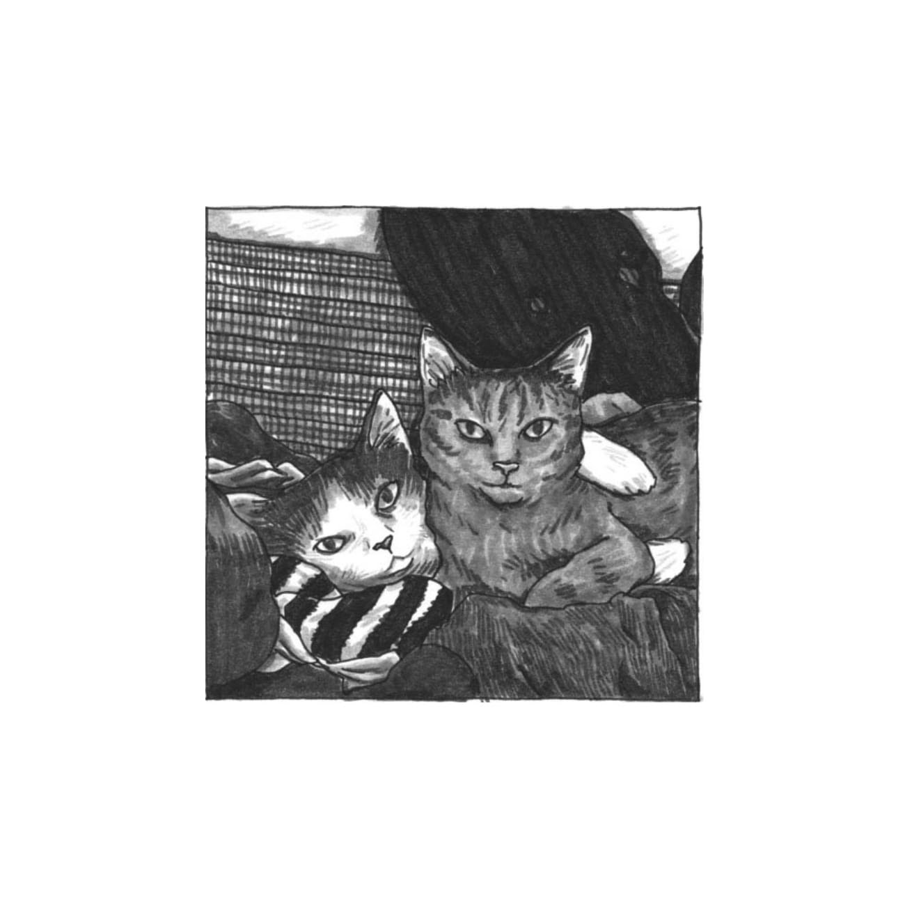 Read online Cats are Weird and More Observations comic -  Issue # TPB - 105