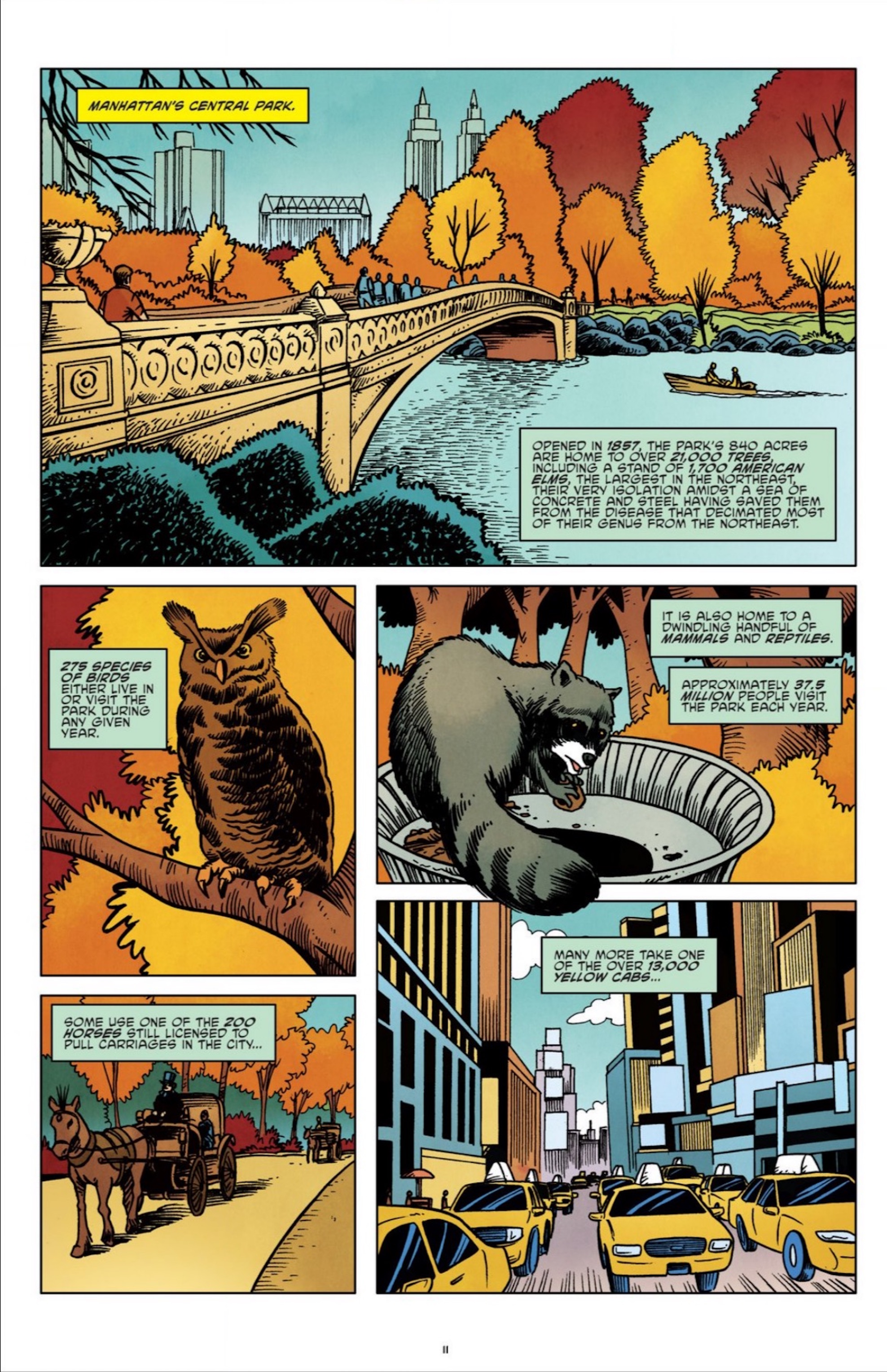 Read online Teenage Mutant Ninja Turtles 30th Anniversary Special comic -  Issue # Full - 21
