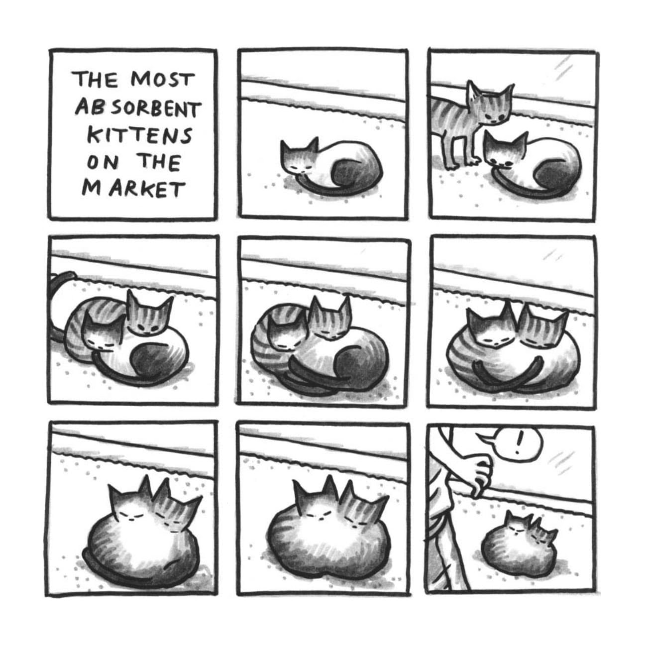 Read online Cats are Weird and More Observations comic -  Issue # TPB - 22