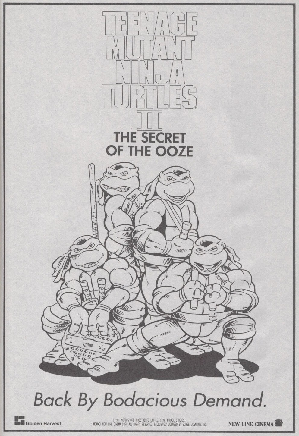 Teenage Mutant Ninja Turtles (1984) Issue #35 #35 - English 24