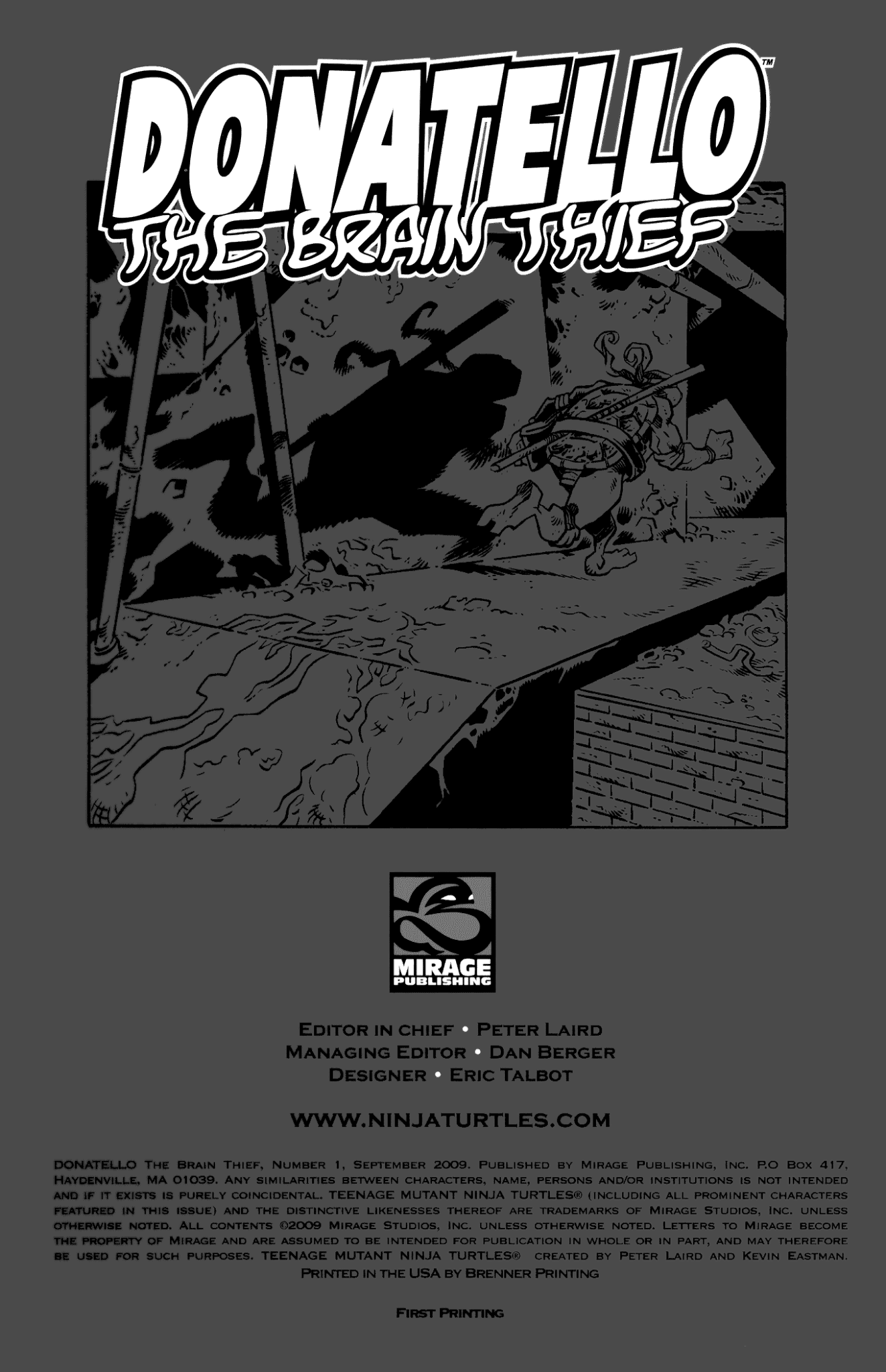 Read online Donatello The Brain Thief comic -  Issue #1 - 2