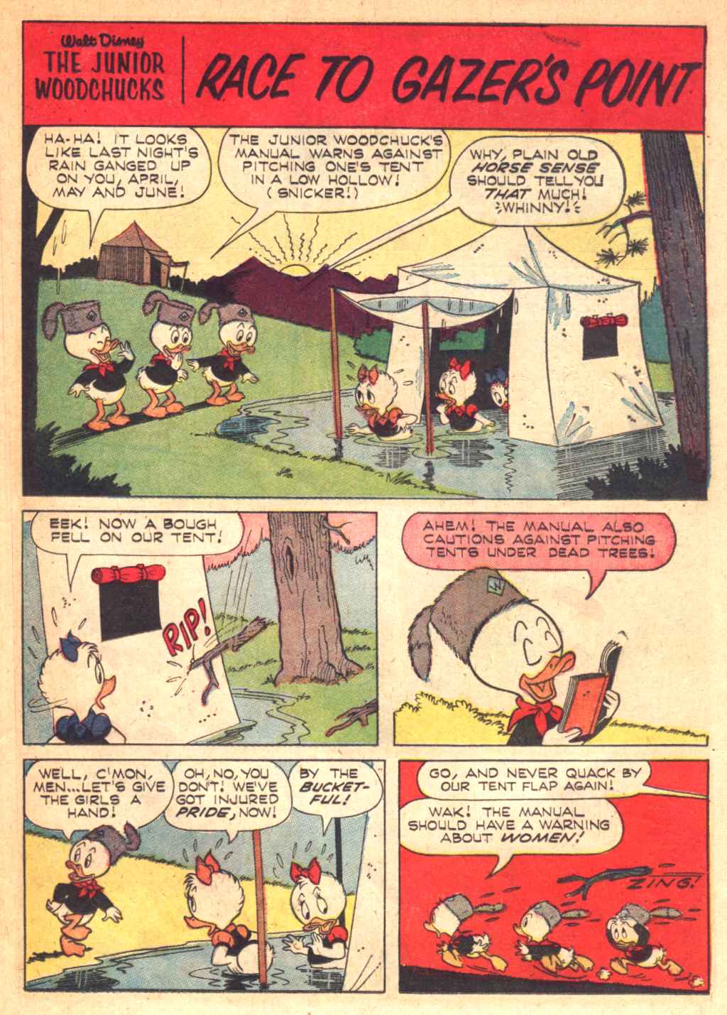 Huey, Dewey, and Louie Junior Woodchucks issue 2 - Page 25